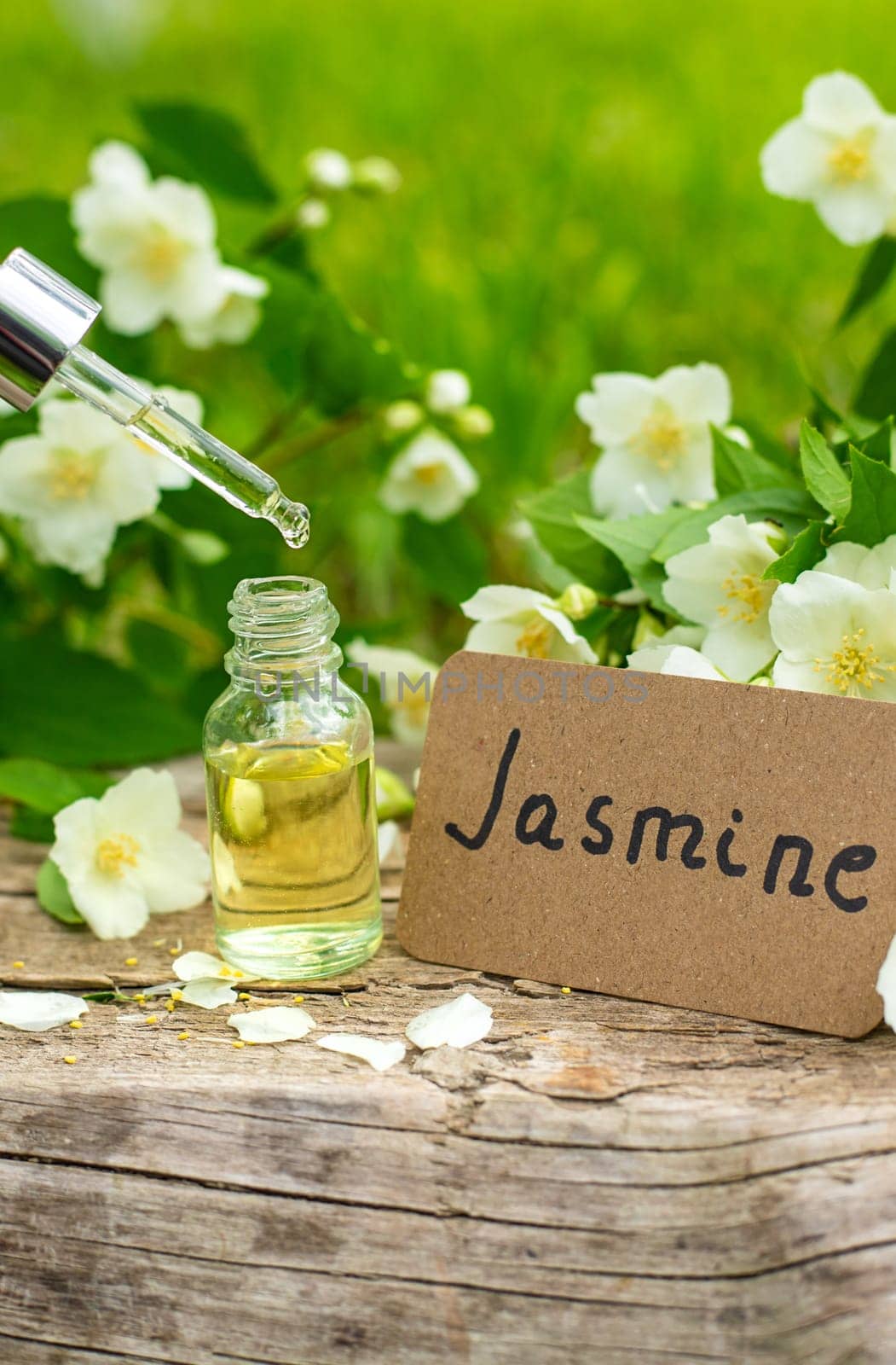 Jasmine essential oil and flowers. Selective focus. nature.