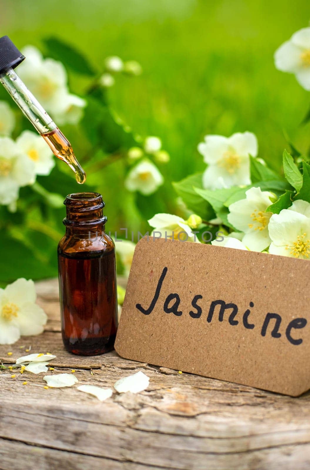 Jasmine essential oil and flowers. Selective focus. nature.