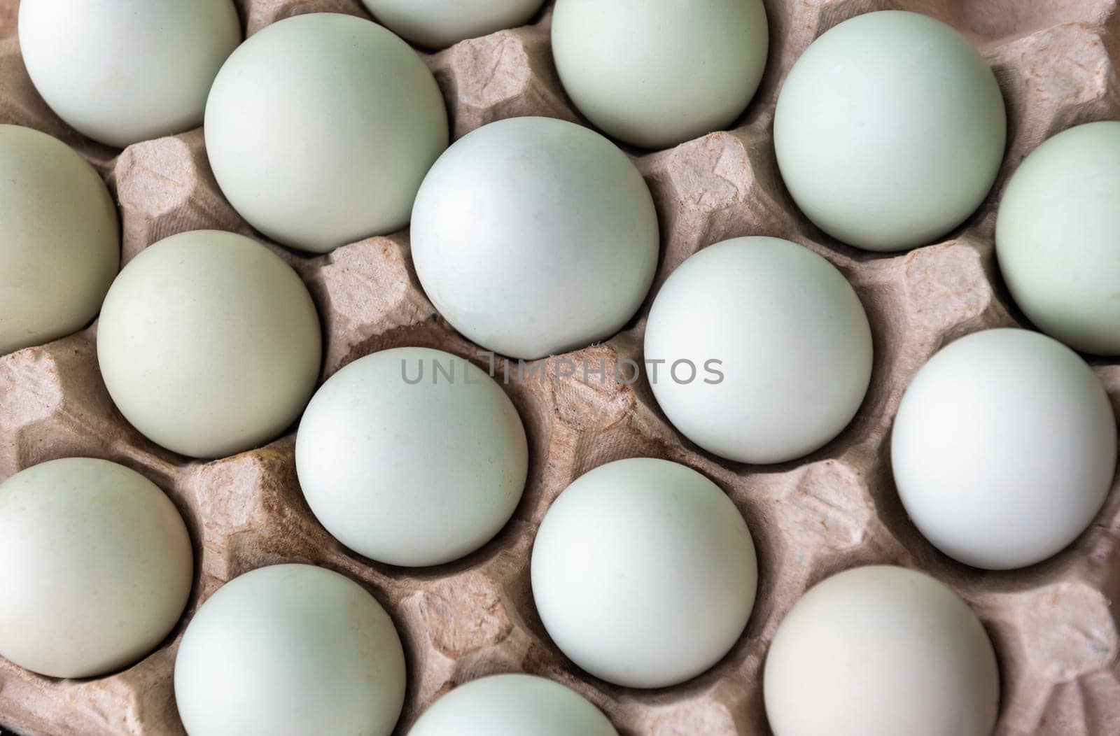 Light blue and greenish araucana chicken eggs neatly arranged in a brown recycled cardboard egg carton, concept fresh, dietary product, ready to eat,
