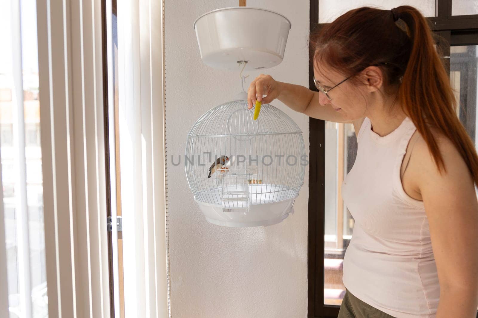 Woman changing bird food in round hanging cage near window with natural light