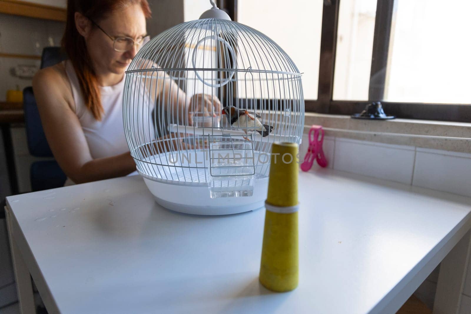 Woman changing water inside small bird cage, taking care of beautiful parrot
