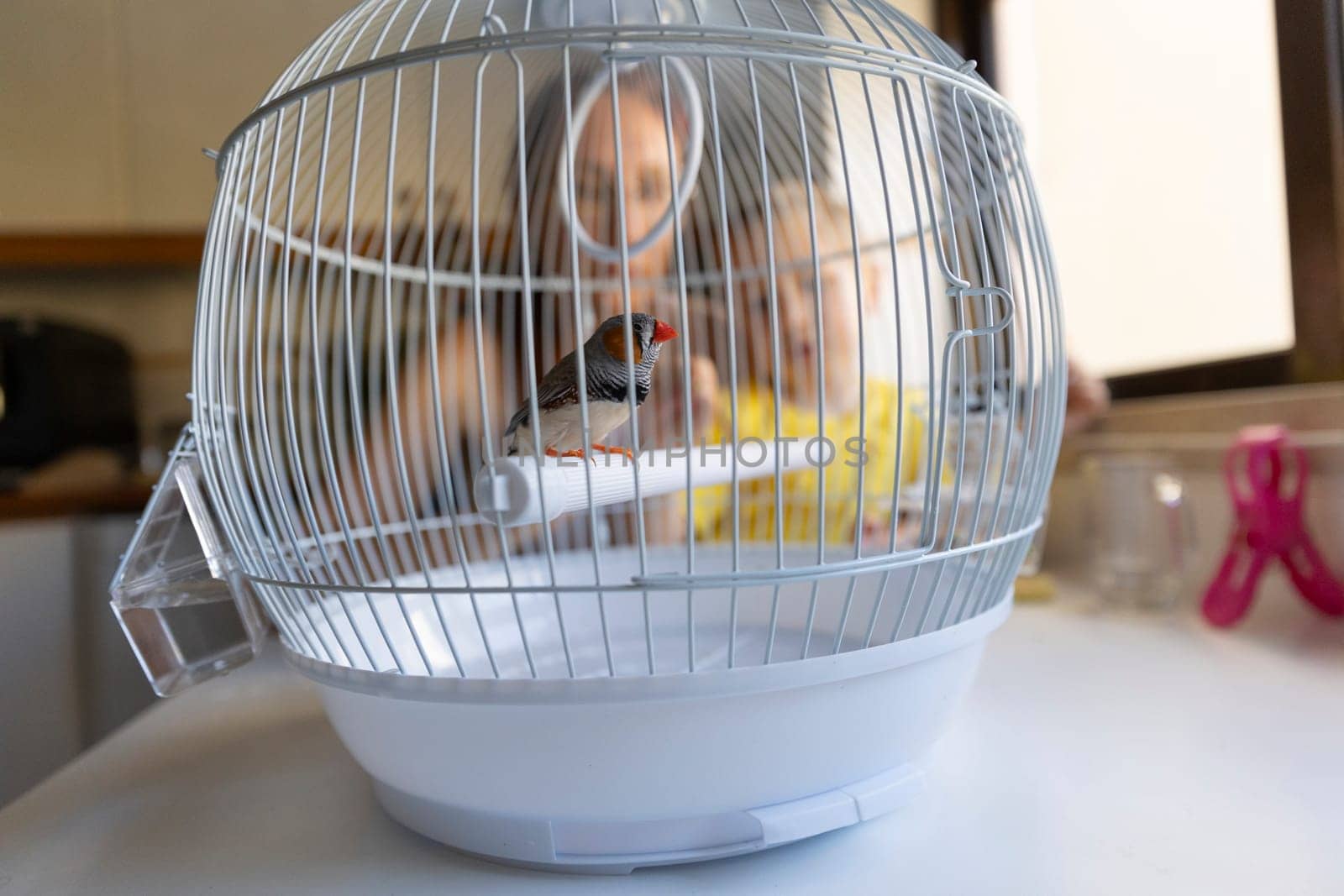 Small zebra finch perched in its cage while a mother and child observe the bird in a home setting