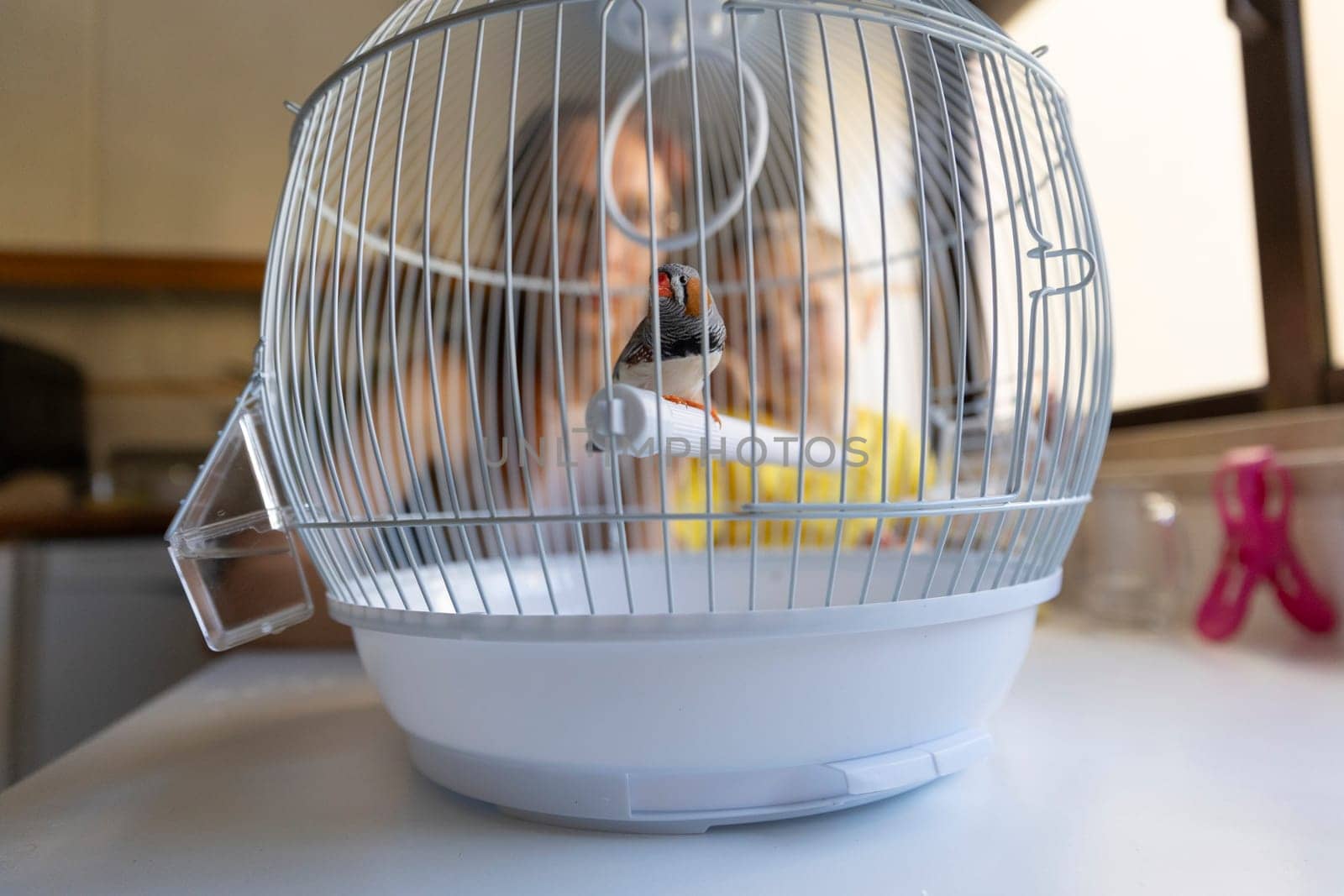 Small zebra finch perched on a stick inside its cage, with a family watching it in the background