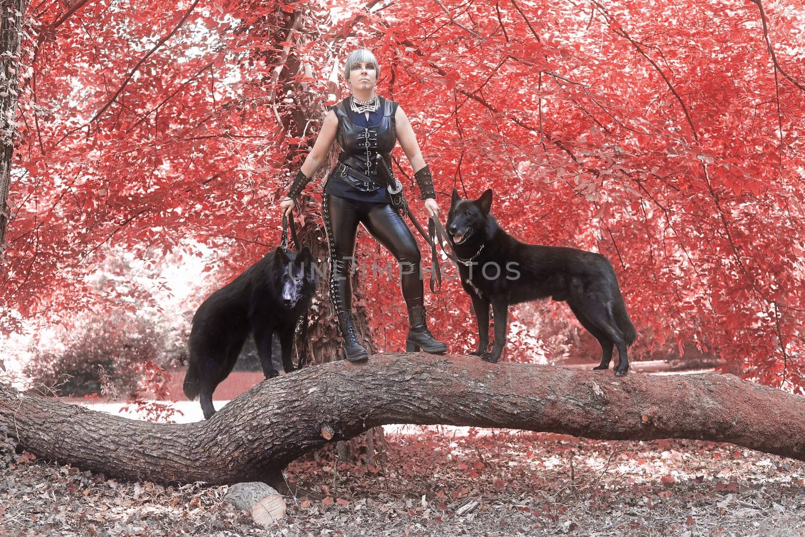 A woman dressed in black with two black dogs on a tree trunk