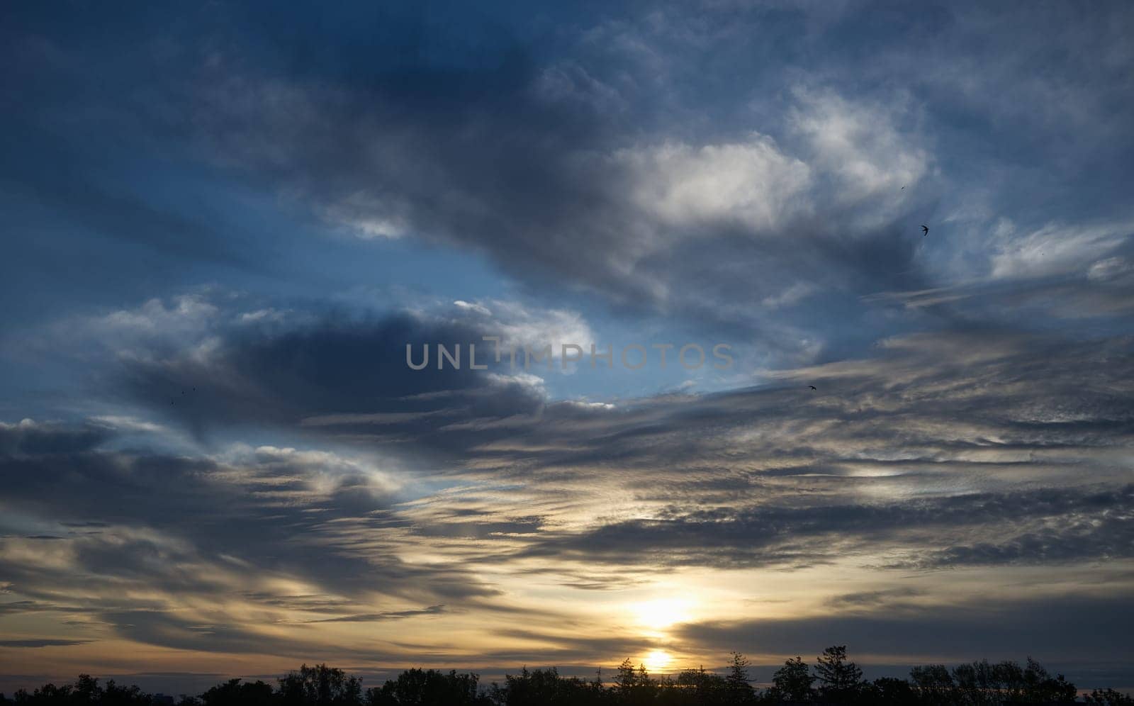 Magnificent sunset scene featuring dramatic clouds, vibrant colors, silhouettes of trees, and serene ambiance blending nature and beauty.