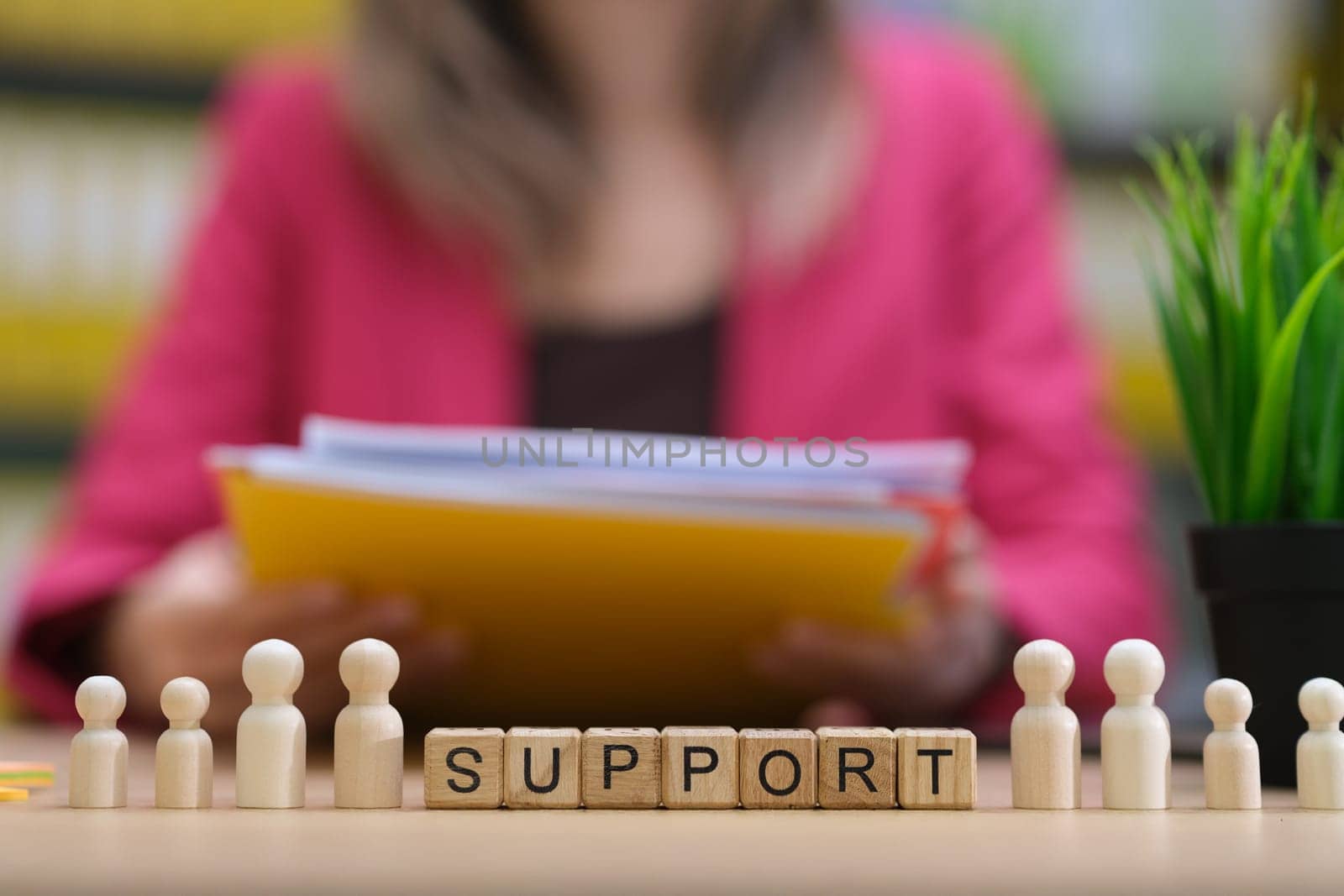 An exemplary and illustrative representation of support within a professional work environment setting