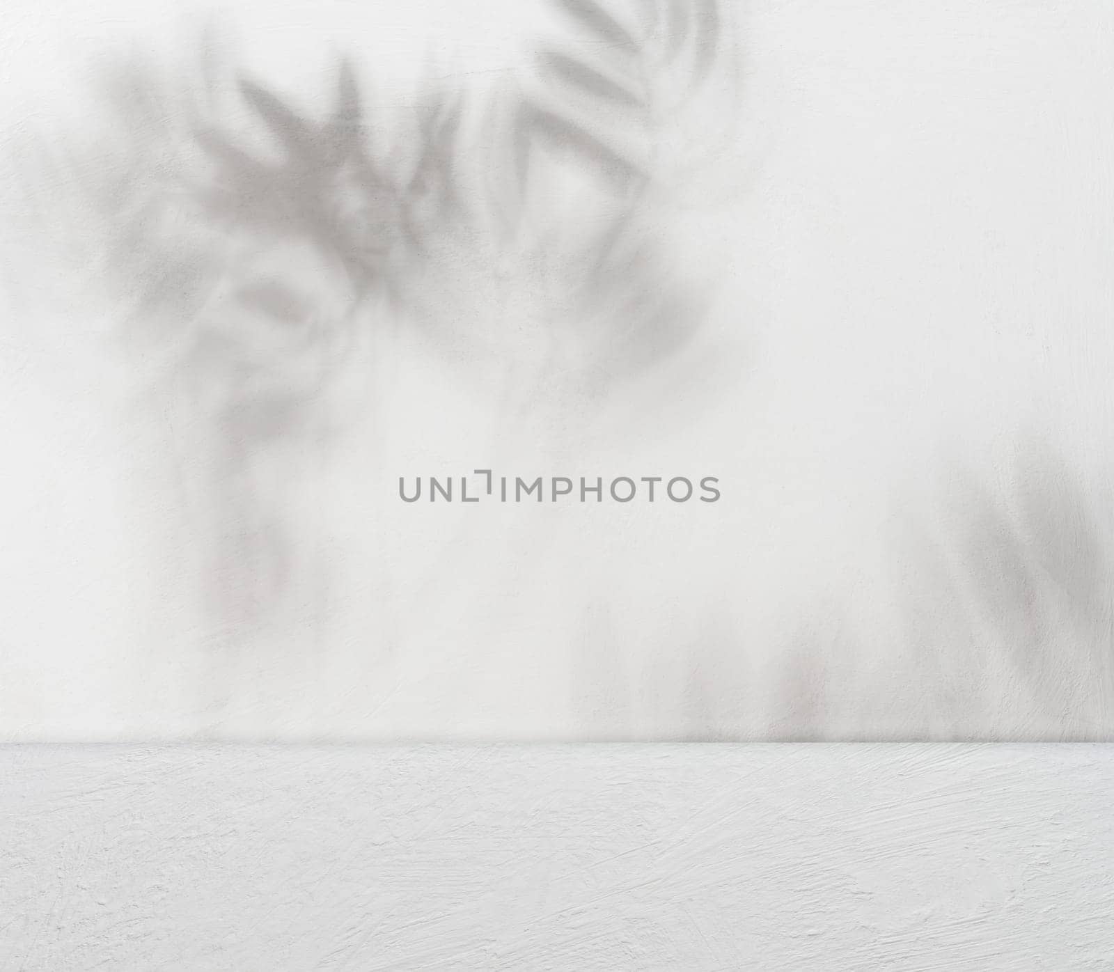 Light concrete wall and floor with shadows from plant leaves creating a natural background