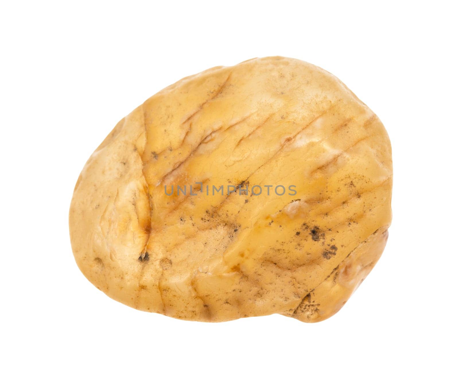 close up of sample of natural stone from geological collection - tumbled carnelian chalcedony mineral isolated on white background