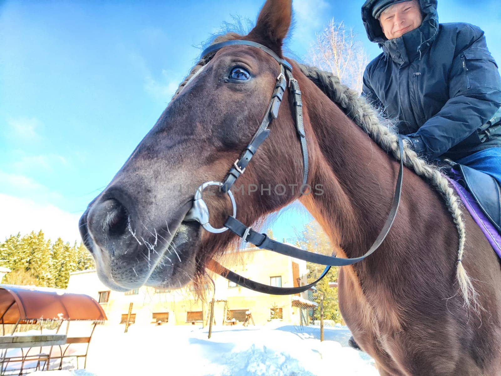 A man is riding a brown horse in a snowy environment. The sun shines brightly, and the backdrop features trees and buildings, creating a serene winter atmosphere.