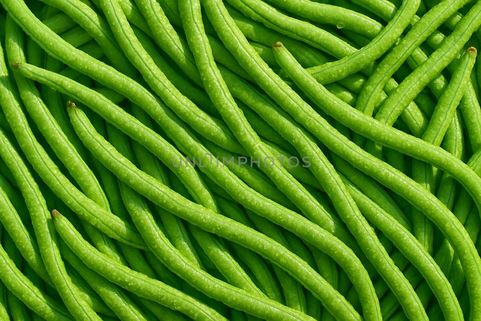 AI generated top view of vibrant fresh yardlong beans covered with water droplets under daylight showing clean texture freshness and healthy natural food concept