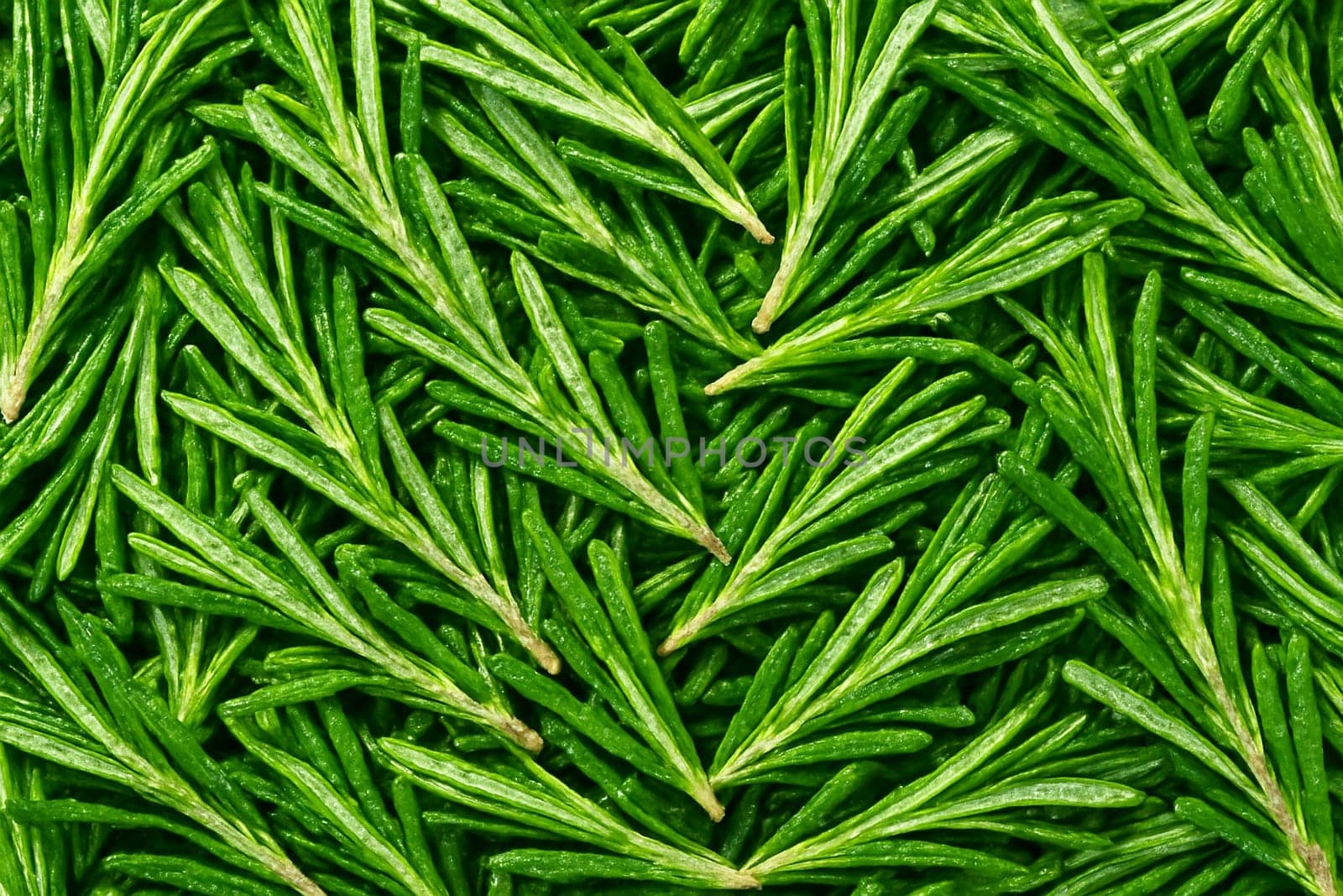 AI generated top view of fresh rosemary with water droplets reflecting daylight Fresh vibrant clean look ideal for food natural lifestyle or wellness themes