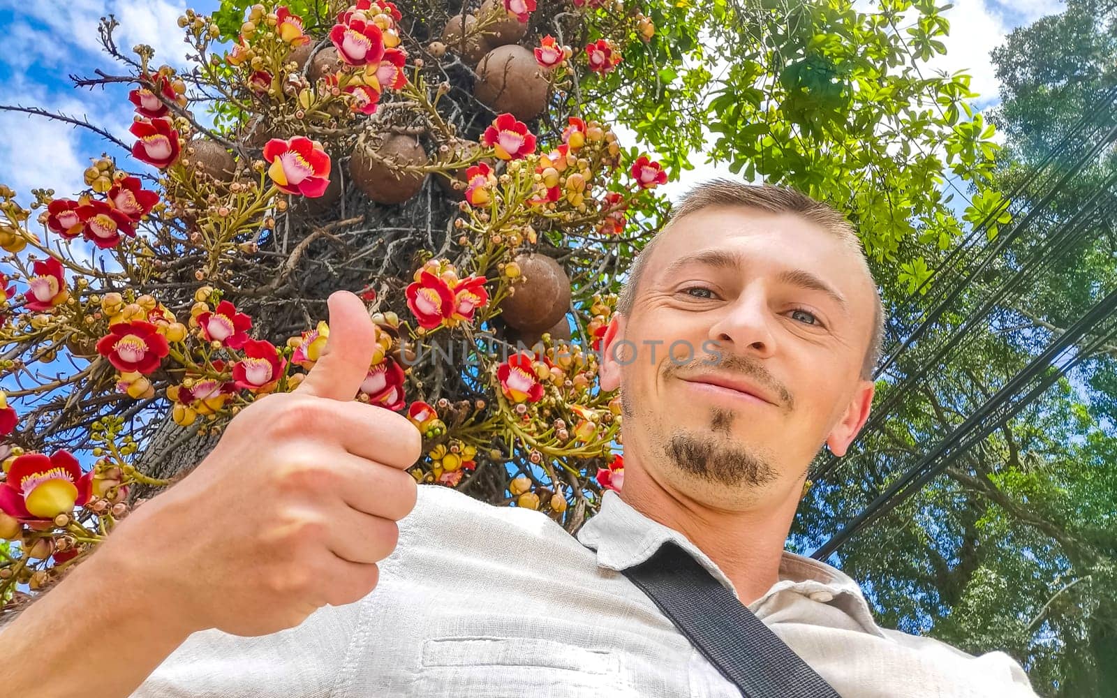 Handsome man tourist thumb up at a Cannonball tree Shorea Robusta flower tree with flowers and brown fruits in Rio de Janeiro State of Rio de Janeiro Brazil.