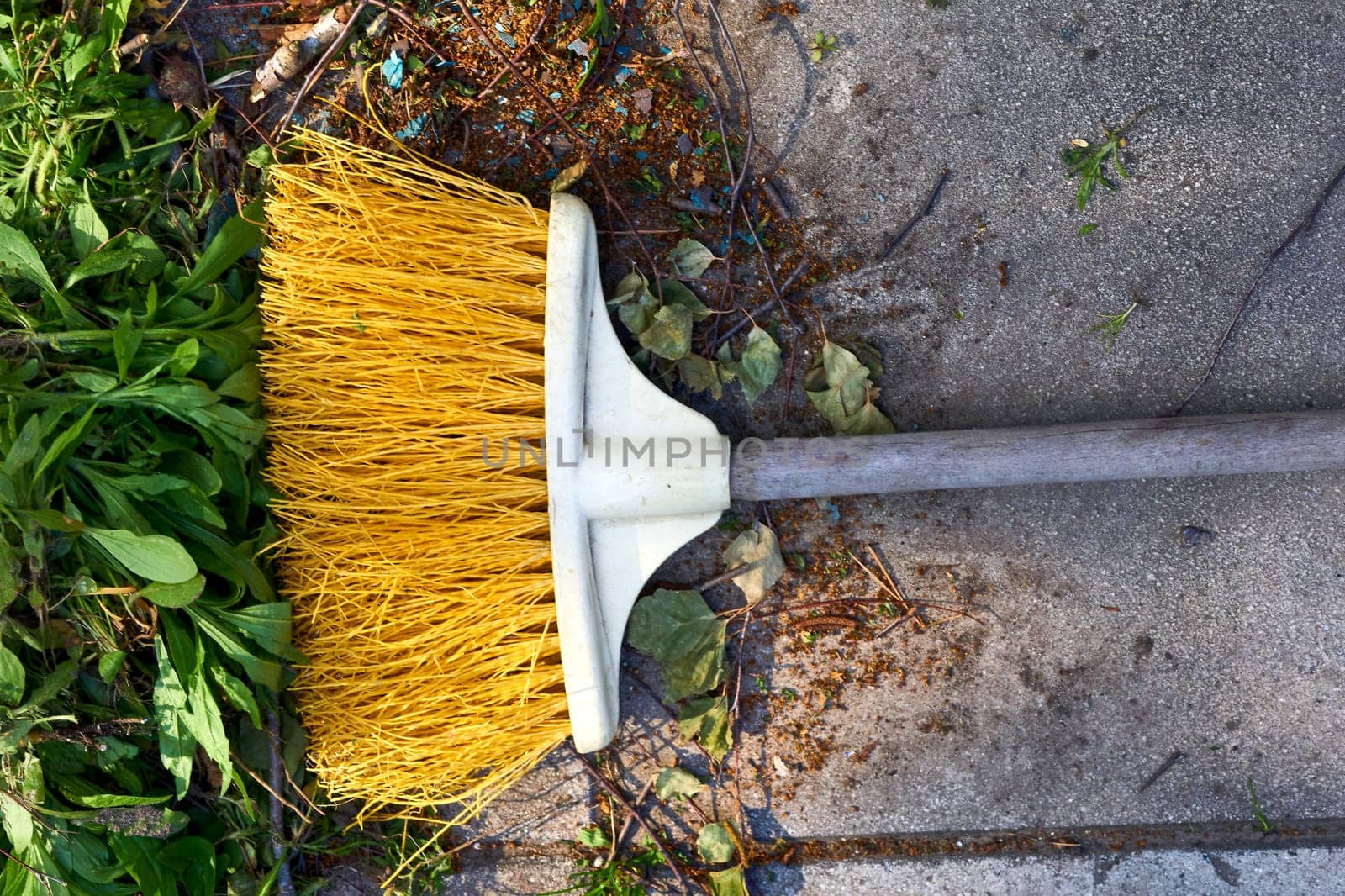 an implement consisting of a sponge or a bundle of thick loose strings attached to a handle