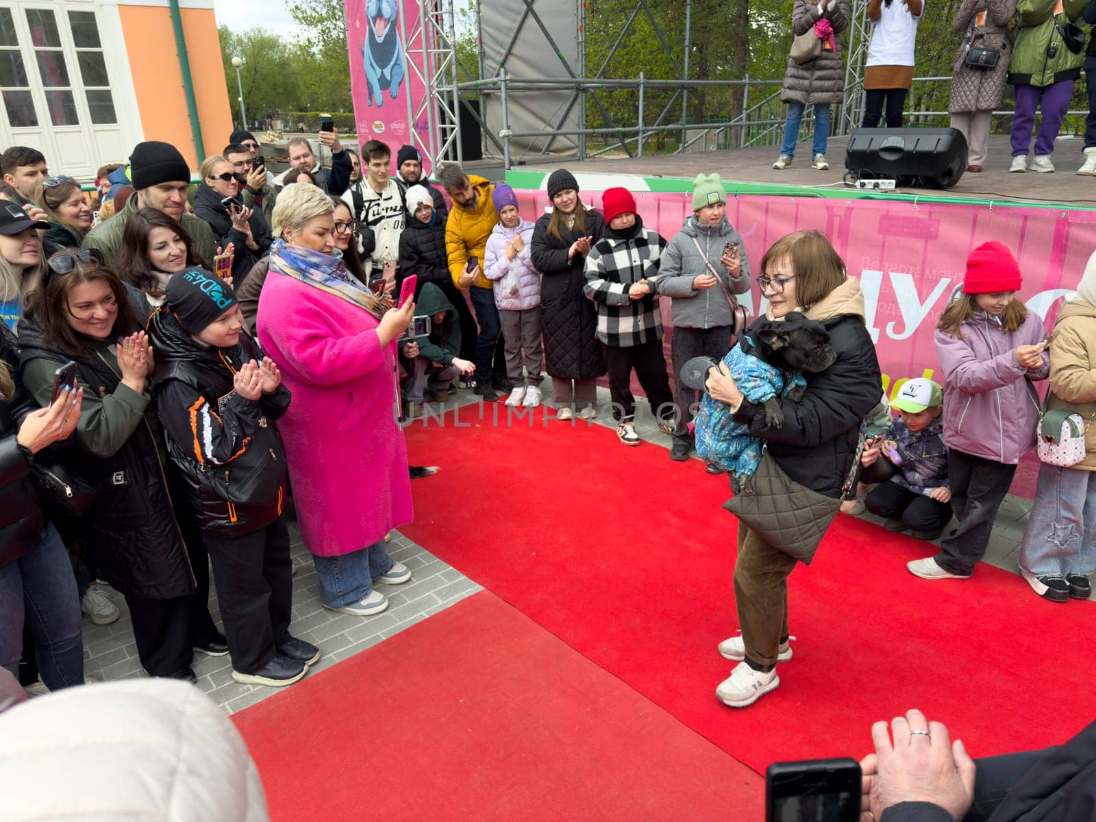 Moscow, Russia, April 27, 2025: Woman carries her French Bulldog in colorful jacket down the red carpet at the French Bulldog Parade in Vorontsovsky Park, showcasing a heartwarming bond