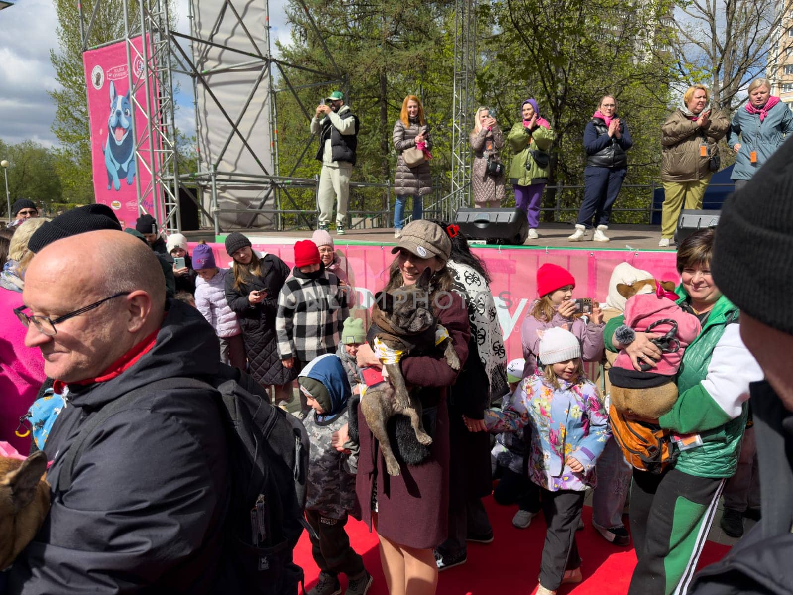 Moscow, Russia, April 27, 2025: Adopted French Bulldogs take part in the parade, proudly carried by their new owners, showing the success of rescue and adoption effort