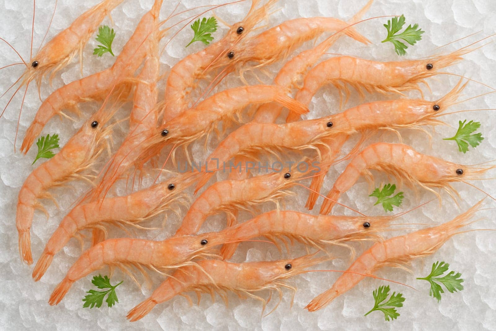 AI generated top view of raw tiny shrimps on crushed ice with green herbs in bright daylight showing freshness cleanliness and the appetizing appeal of natural seafood display