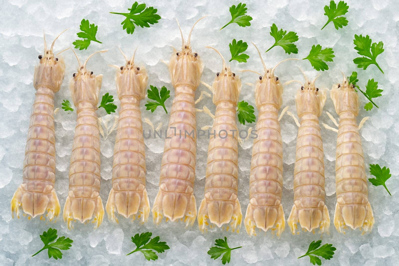 AI generated top view of raw mantis shrimps on crushed ice with fresh herbs under daylight showing seafood freshness chill and natural clean texture perfect for culinary use