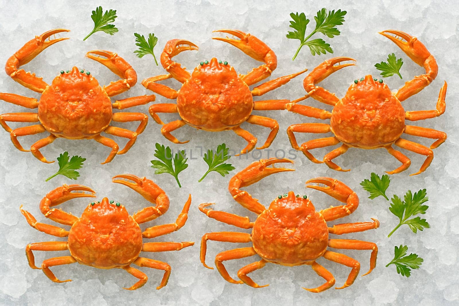 AI generated top view of raw snow crabs on crushed ice under bright daylight with green herbs showcasing freshness cleanliness and a chilled premium seafood presentation