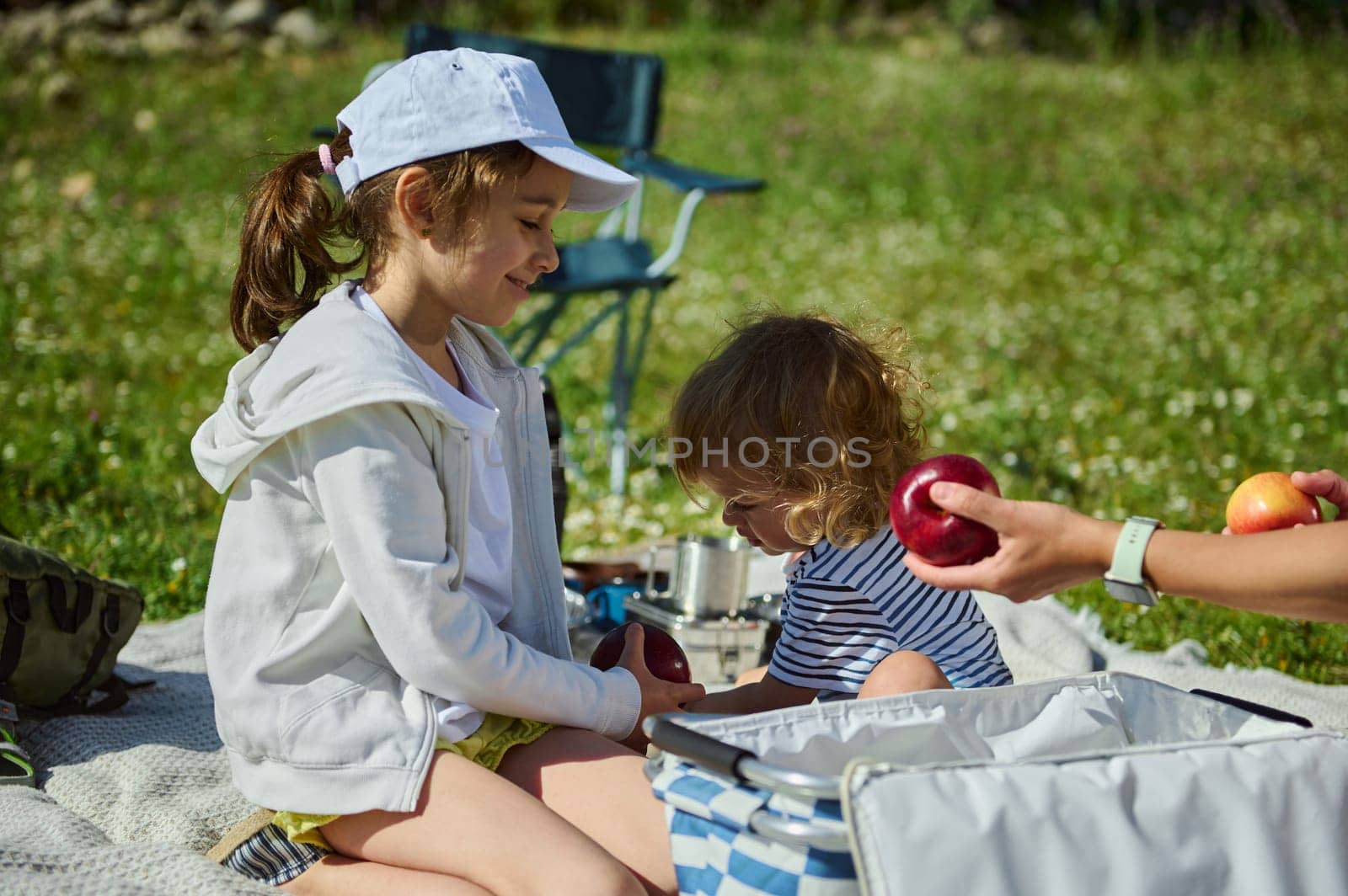 A cheerful family shares a picnic on a vibrant summer day in the mountains, fostering connections and creating joyful memories enhanced by the beauty of nature and outdoor experiences.