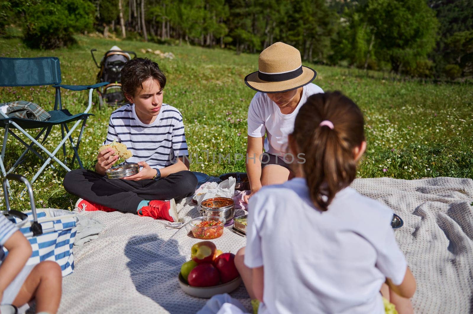 A family enjoys a picnic with delicious food on a sunny day, surrounded by picturesque mountain scenery and nature.
