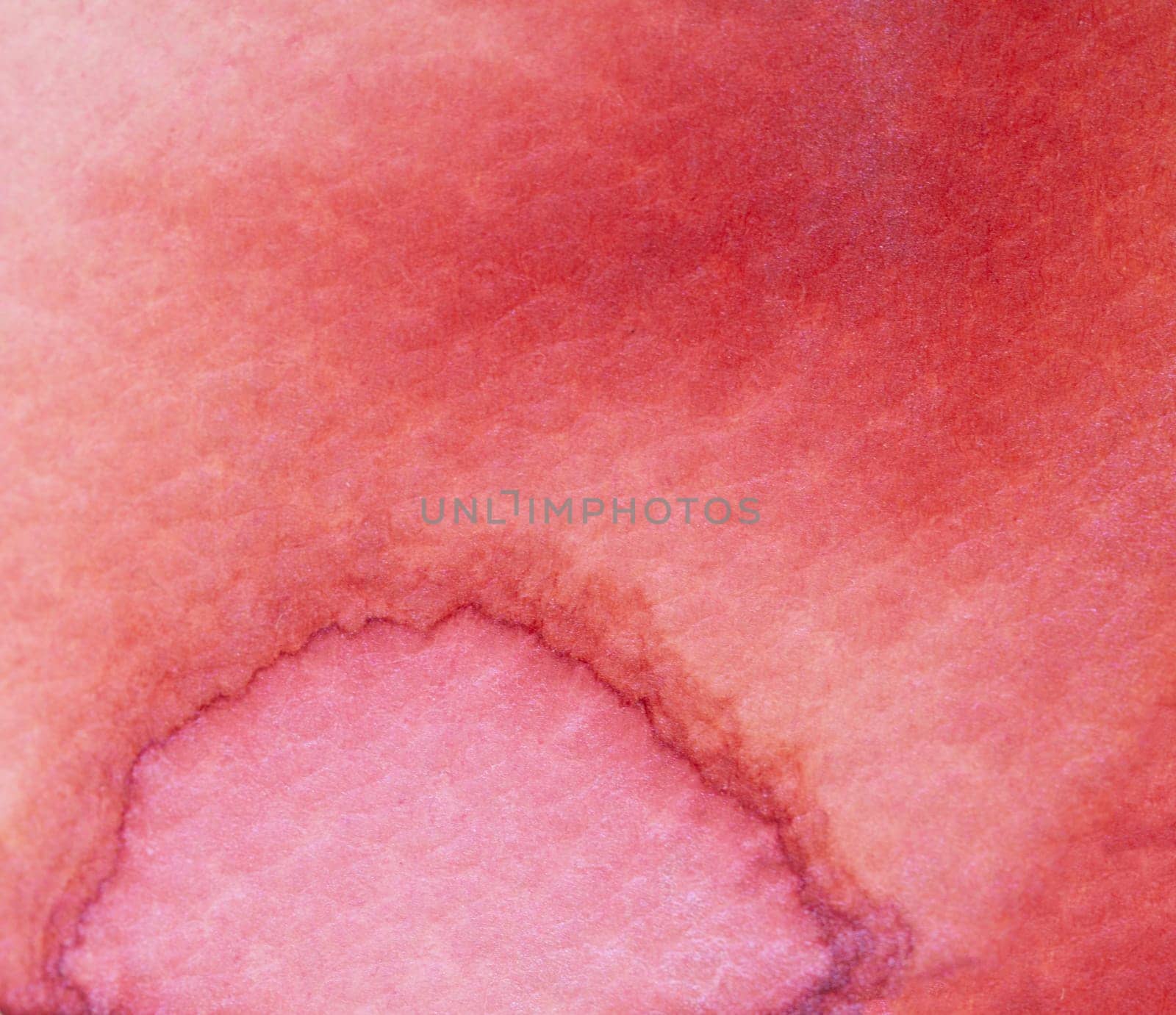 This artwork showcases a stunning watercolor texture featuring deep pink and red shades. Subtle gradations create a soft, organic form that draws viewers into its warm, inviting colors.