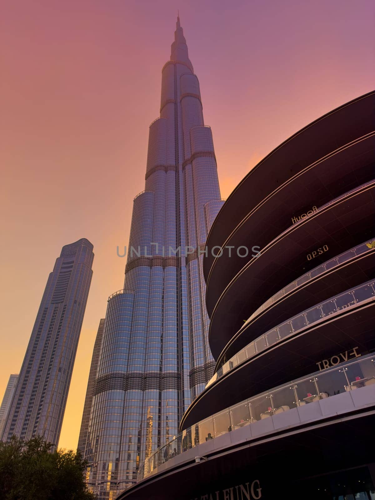 UAE, Dubai, 10 December 2024: The famous Burj Khalifa skyscraper at dusk, Dubai's sights during the incredible sunset sky, skyscrapers illuminated at night, pink sky, palm trees. High quality photo