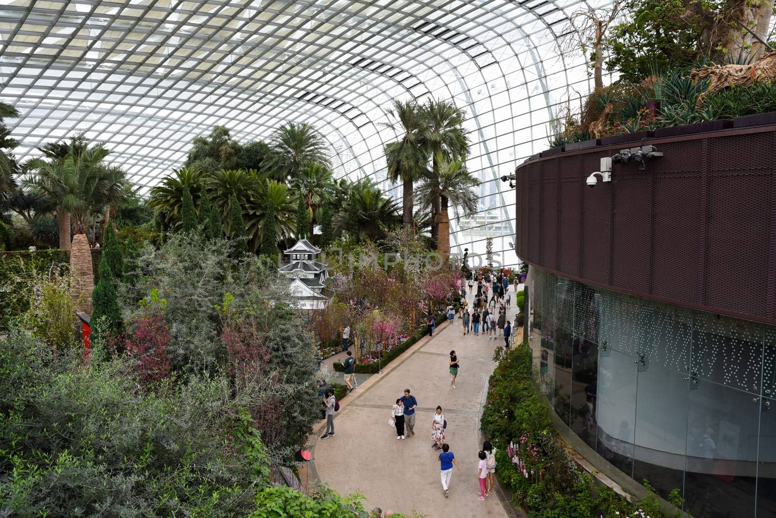 Singapore, Singapore - 4 April 2025: Visitors explore lush greenery and tropical landscapes inside the Flower Dome at Gardens by the Bay, a popular indoor attraction.