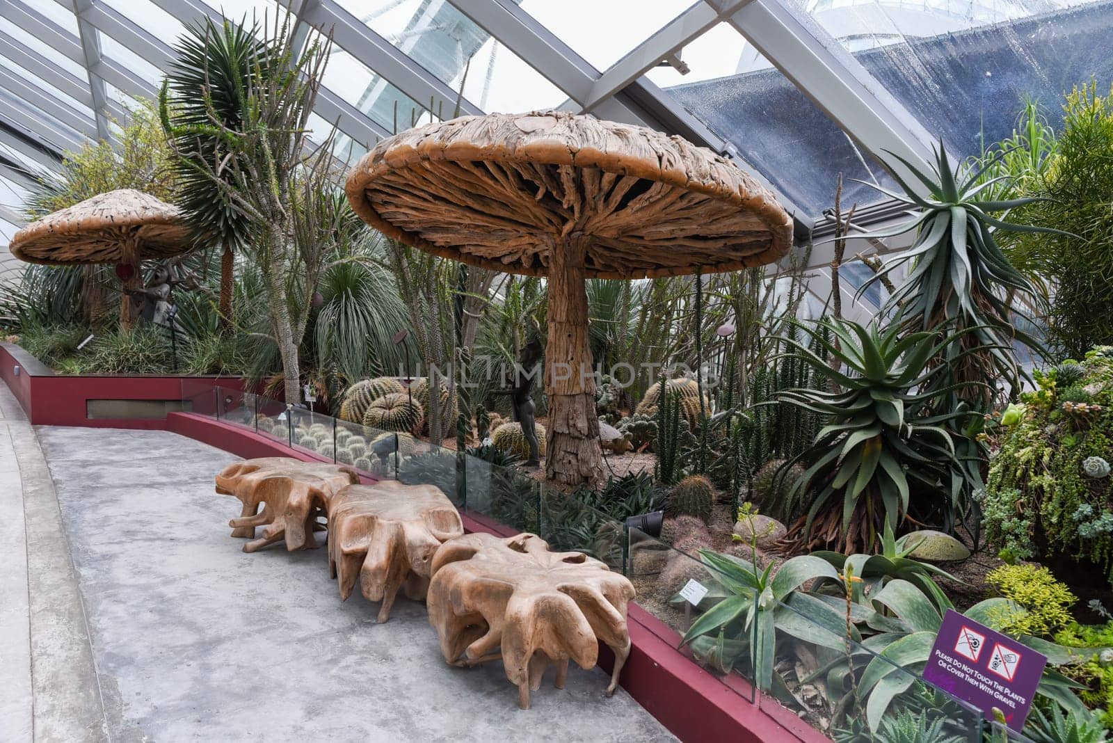 Singapore, Singapore - 4 April 2025: Desert-themed indoor area inside the Flower Dome featuring large wooden mushrooms and exotic cactus plants.