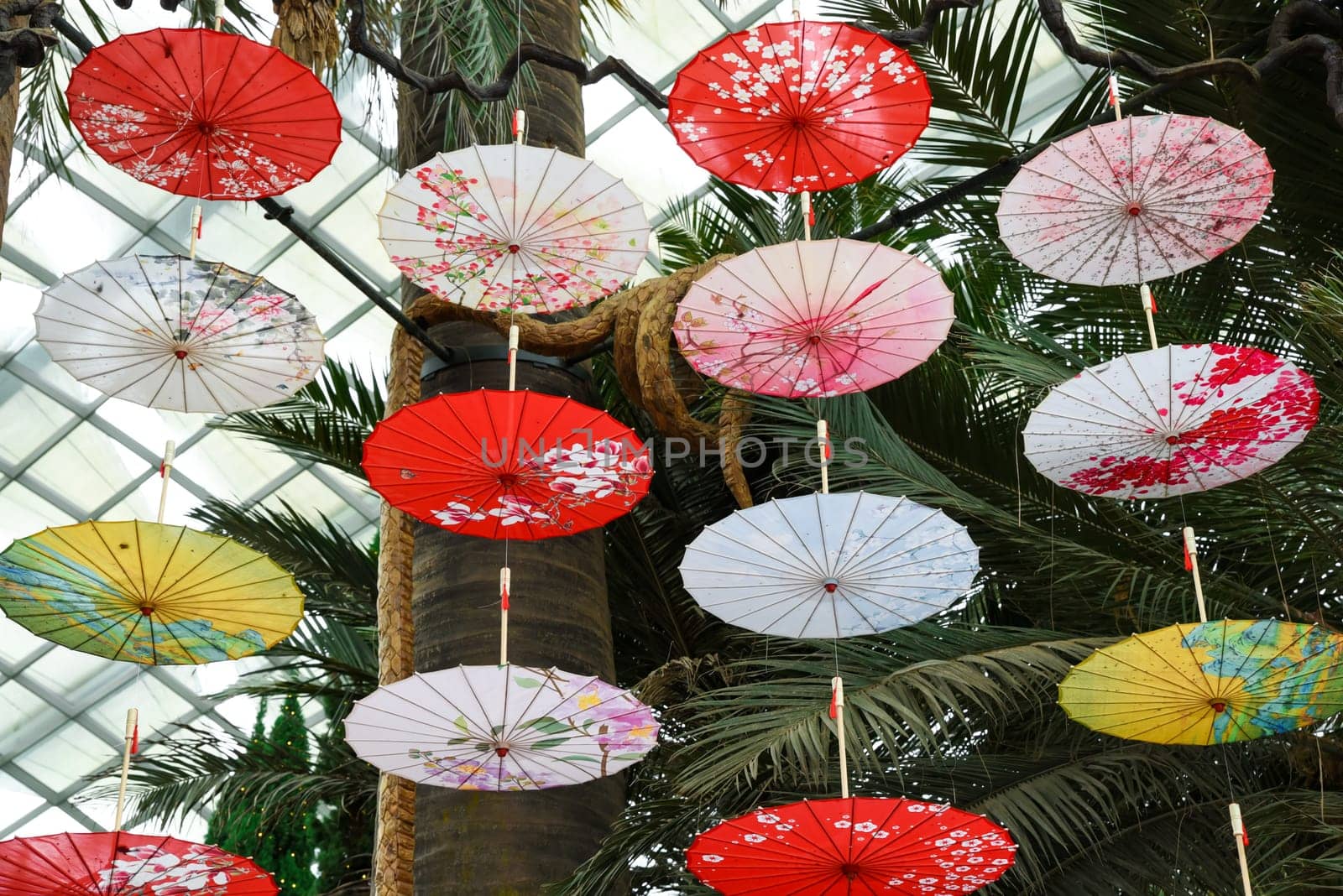 Singapore, Singapore - 4 April 2025: Traditional paper parasols in vibrant colors hang decoratively at Flower Dome Gardens by the Bay, celebrating spring.
