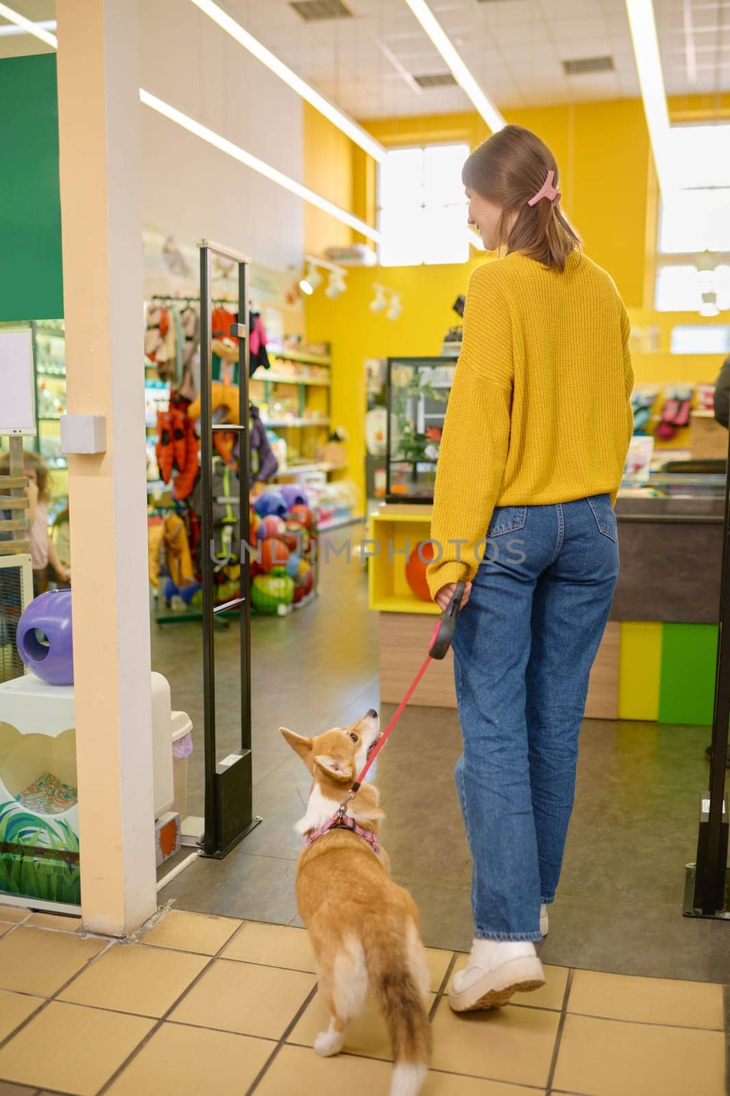 Back view on young woman and her dog corgi walking at pet shop. Shopping and taking care of domestic animals