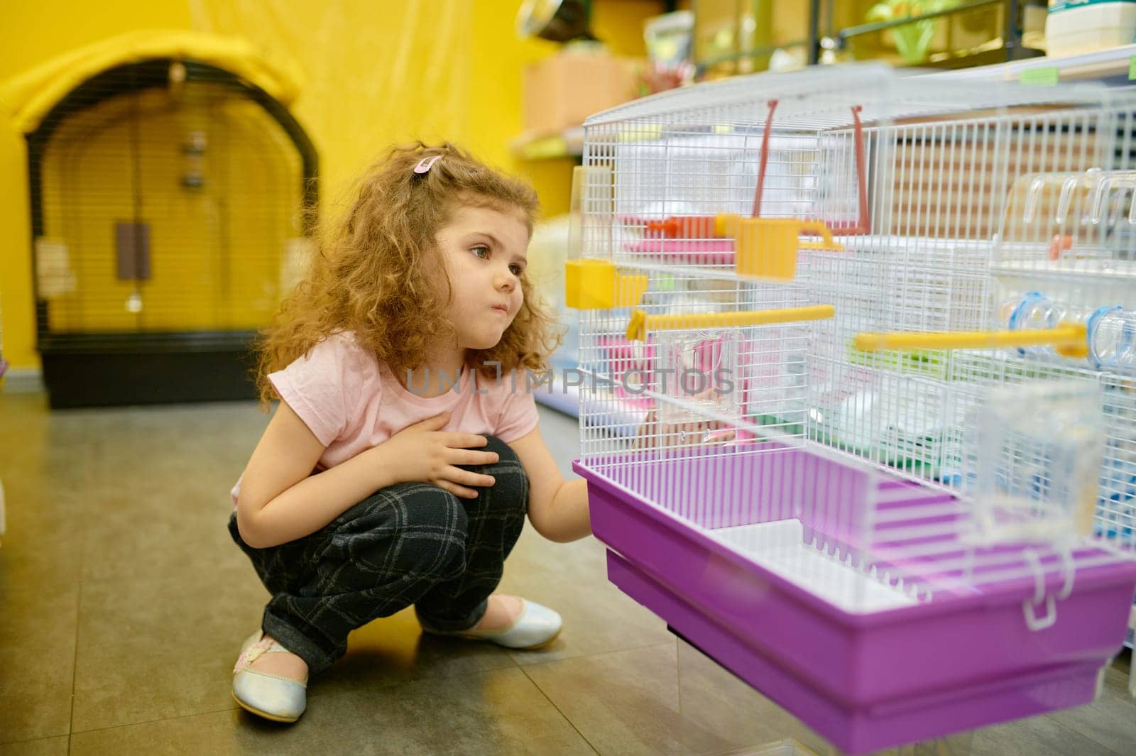 Little girl child sitting nearby cage for rodent at pet shop searching new home for her adorable domestic animal