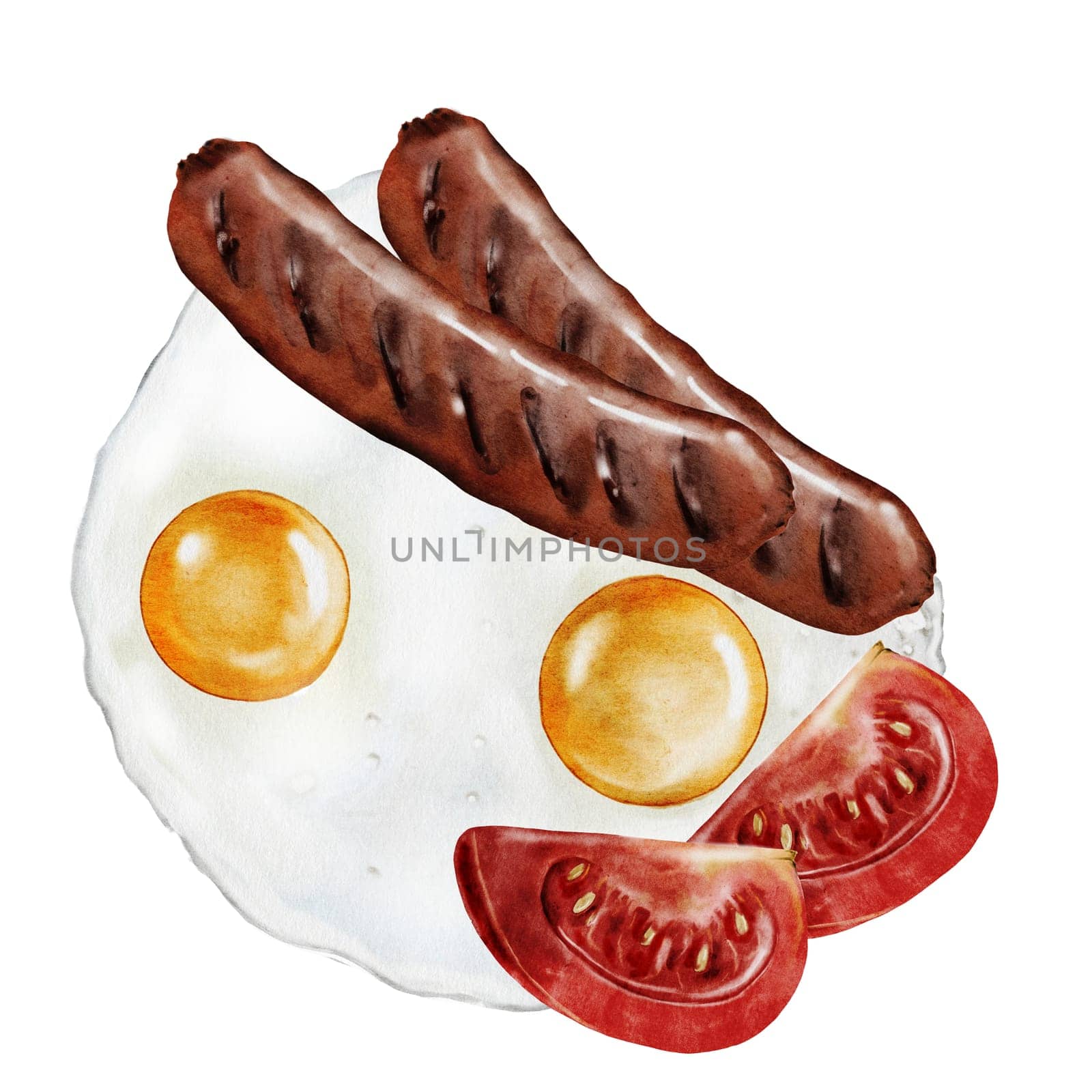 Breakfast is fried eggs, sausages and tomatoes. Hand drawn food on white background. Clip art for serving. Ideal for restaurant menus, posters and snack bar ads. High quality illustration