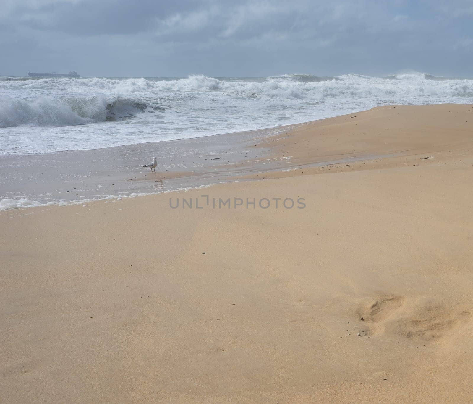 Pre Cyclone Conditions Sunshine Coast Queensland with rough seas, huge surf waves, container ship on horizon, all very dangerous conditions as  Cyclone Alfred approaches