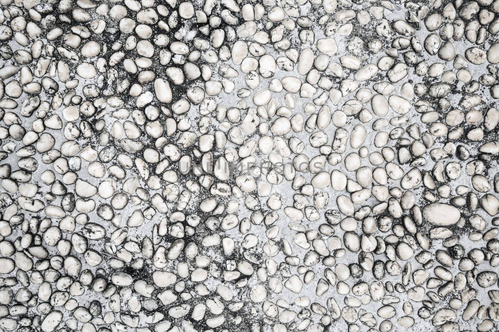 background with rough sidewalk texture with natural white pebbles. Surface of decorative pavement