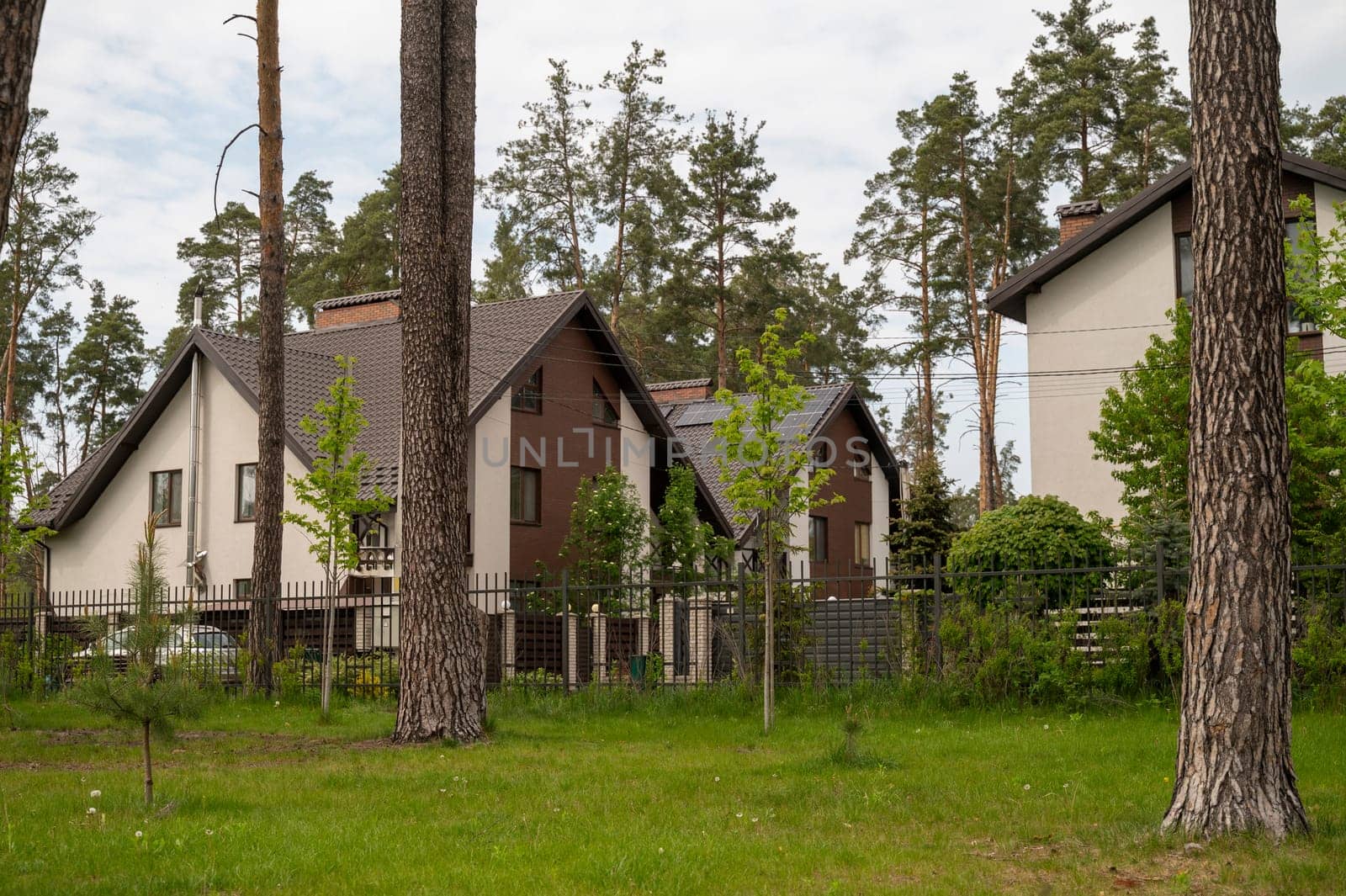 White residential buildings surrounded by pine forest. Various trees around the house. Lawn in the park. House in a nature reserve, forest, park. High quality photo