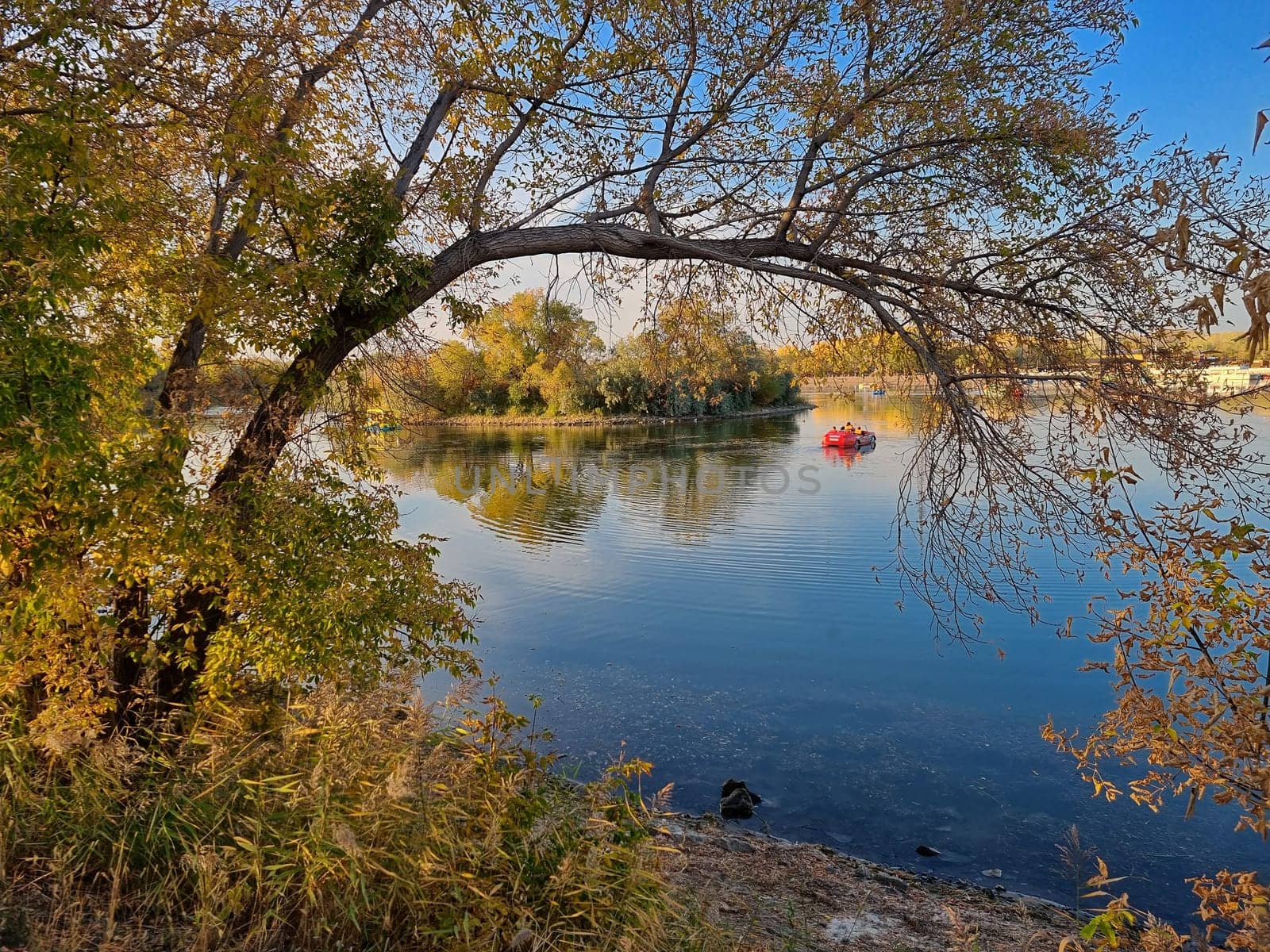 Horizontal photo of a peaceful city park lake surrounded by vibrant yellow autumn trees. A red pedal boat floats on the calm water creating a tranquil seasonal scene. Reflections of fall foliage on the surface enhance the beauty and mood of the moment.