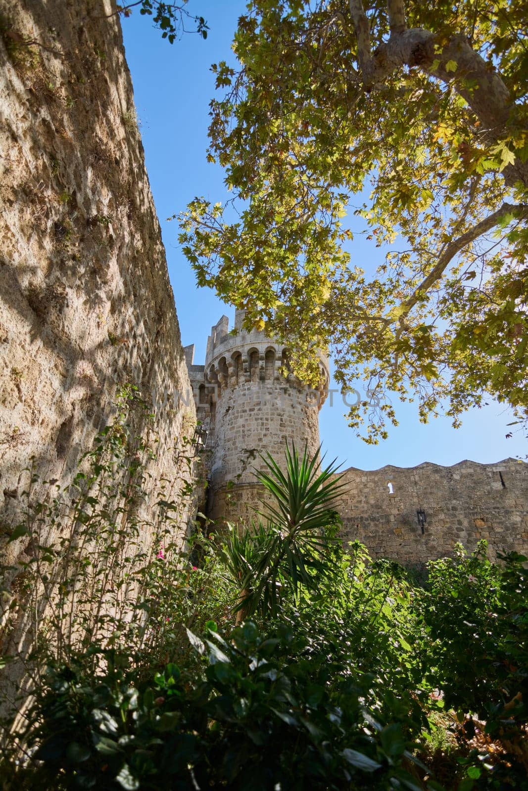 Castle tower peeking through greenery sun