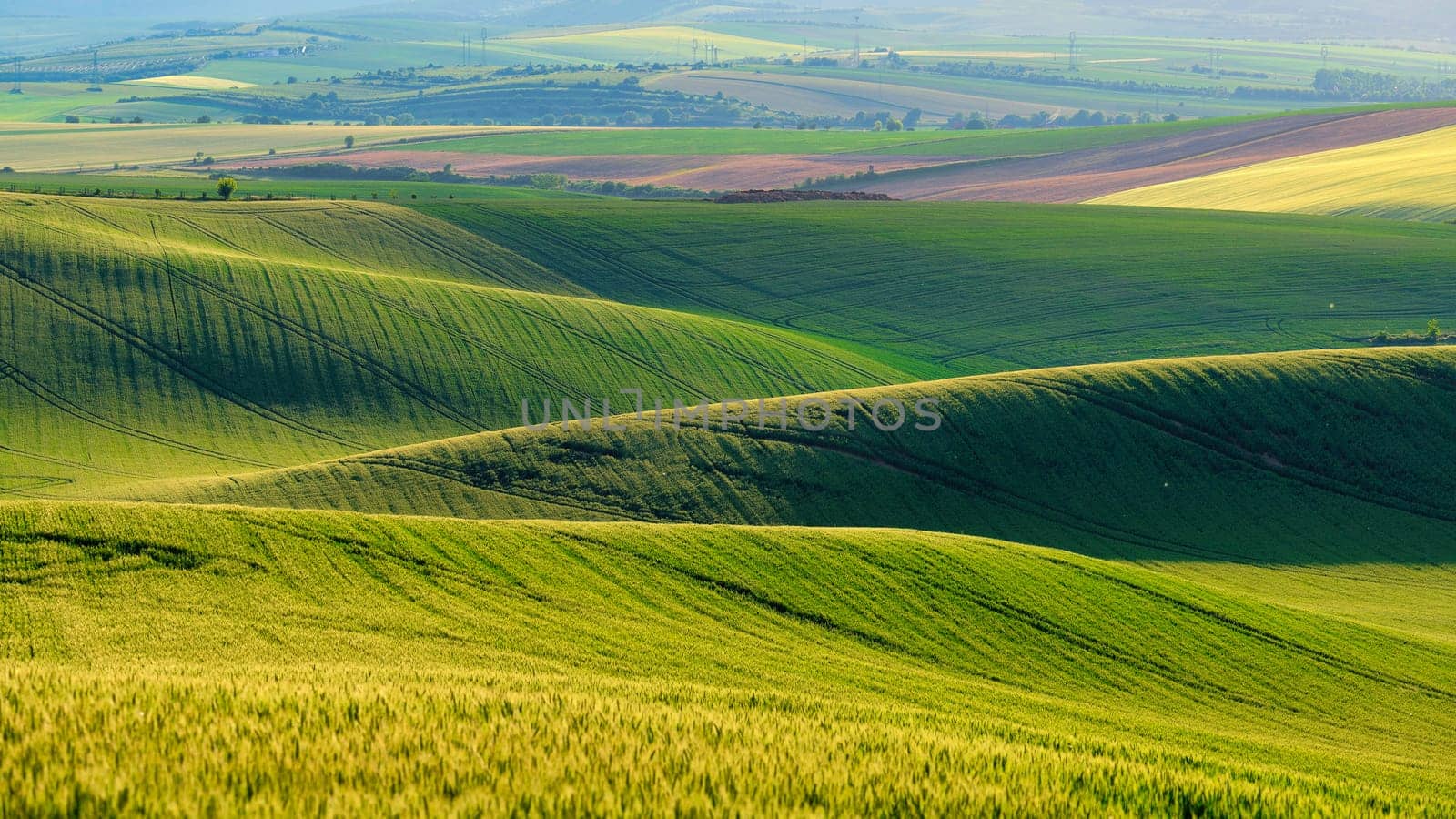 Beautiful spring landscape with field, hills and sunset. Czech Republic - South Moravia (Moravian Tuscany.) Concept for agriculture, travel, environment and nature..