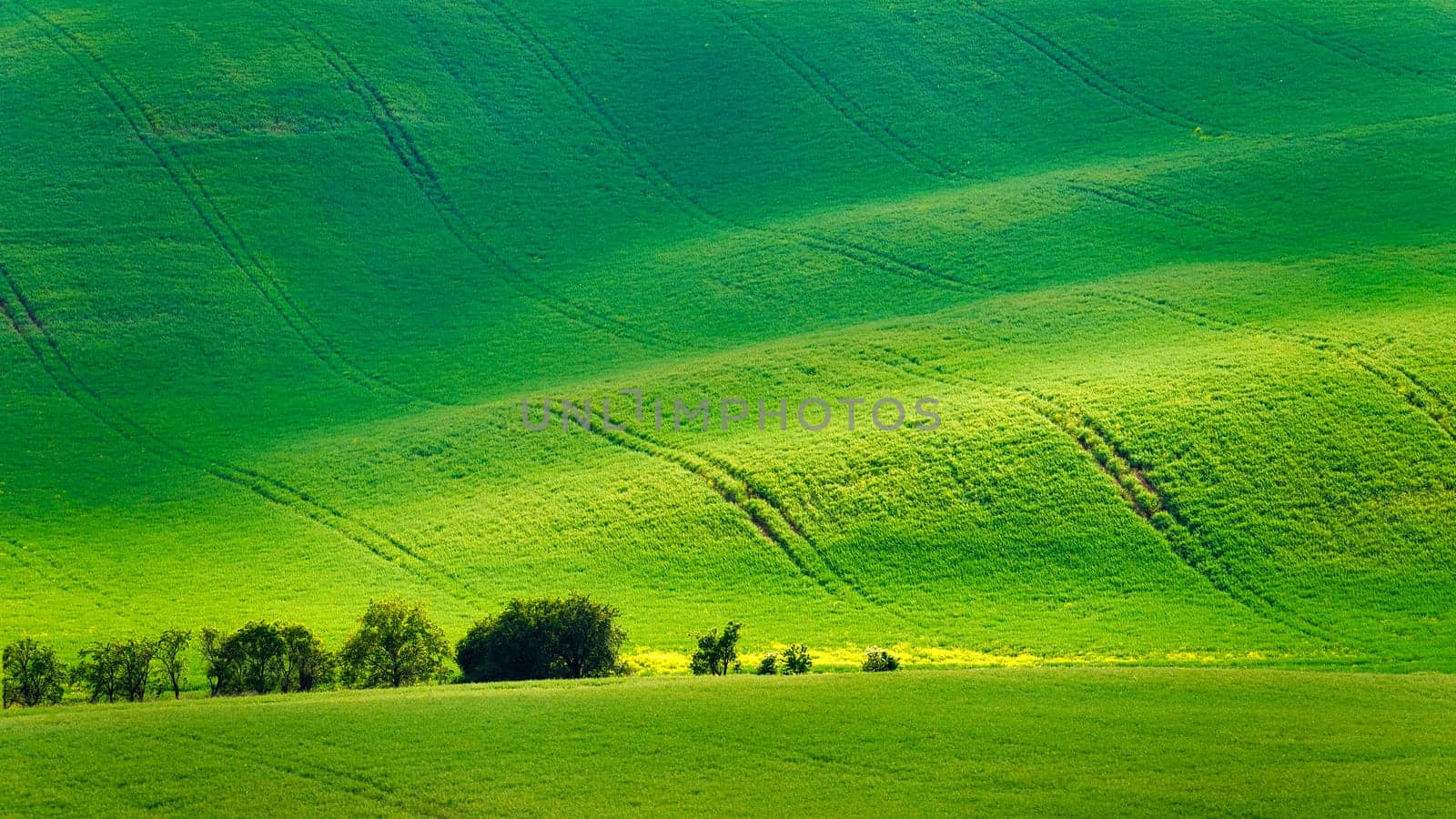 Beautiful spring landscape with field, hills and sunset. Czech Republic - South Moravia (Moravian Tuscany.) Concept for agriculture, travel, environment and nature..