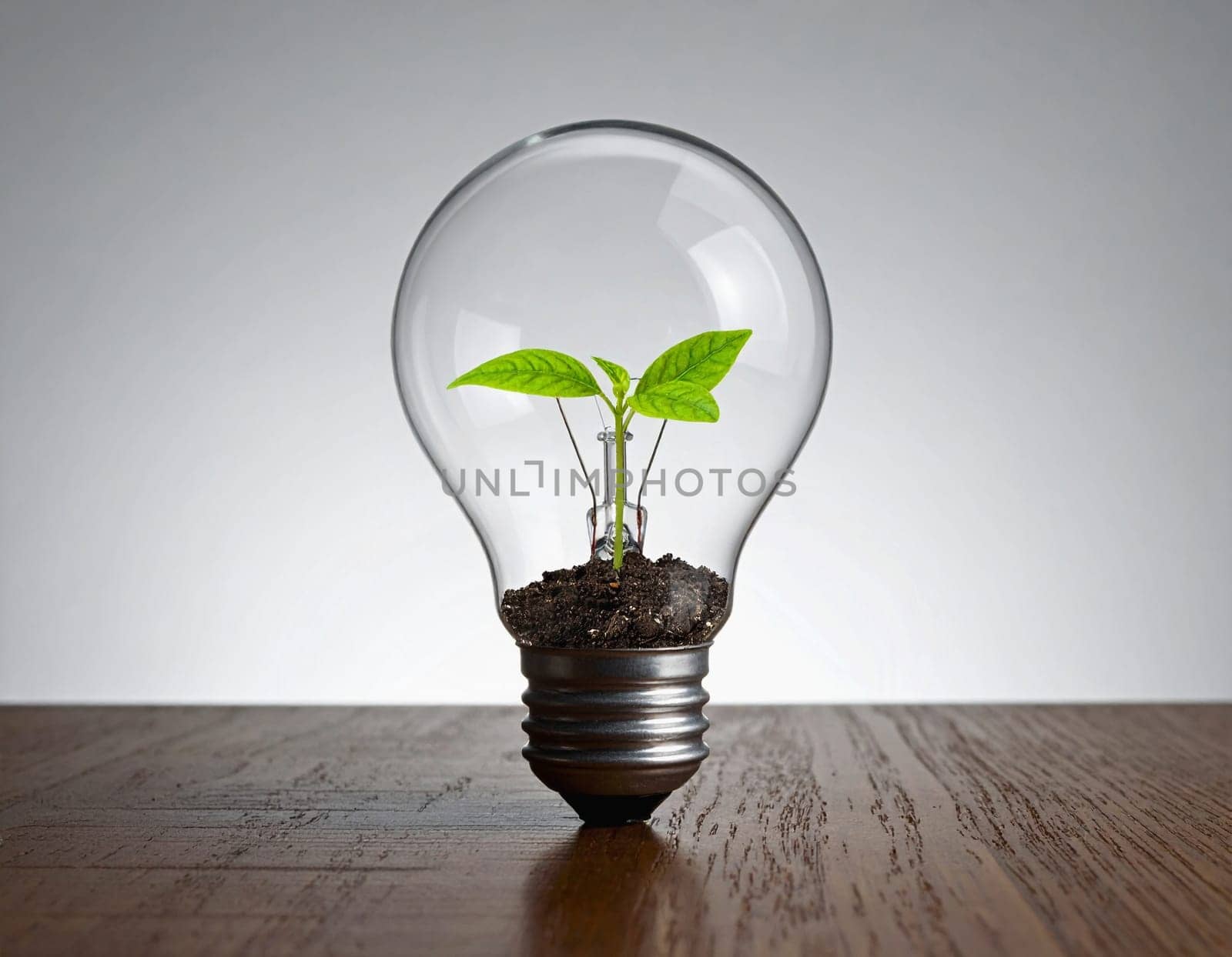 Small green plant in a light bulb. Concept for environment, energy in industry and nature 