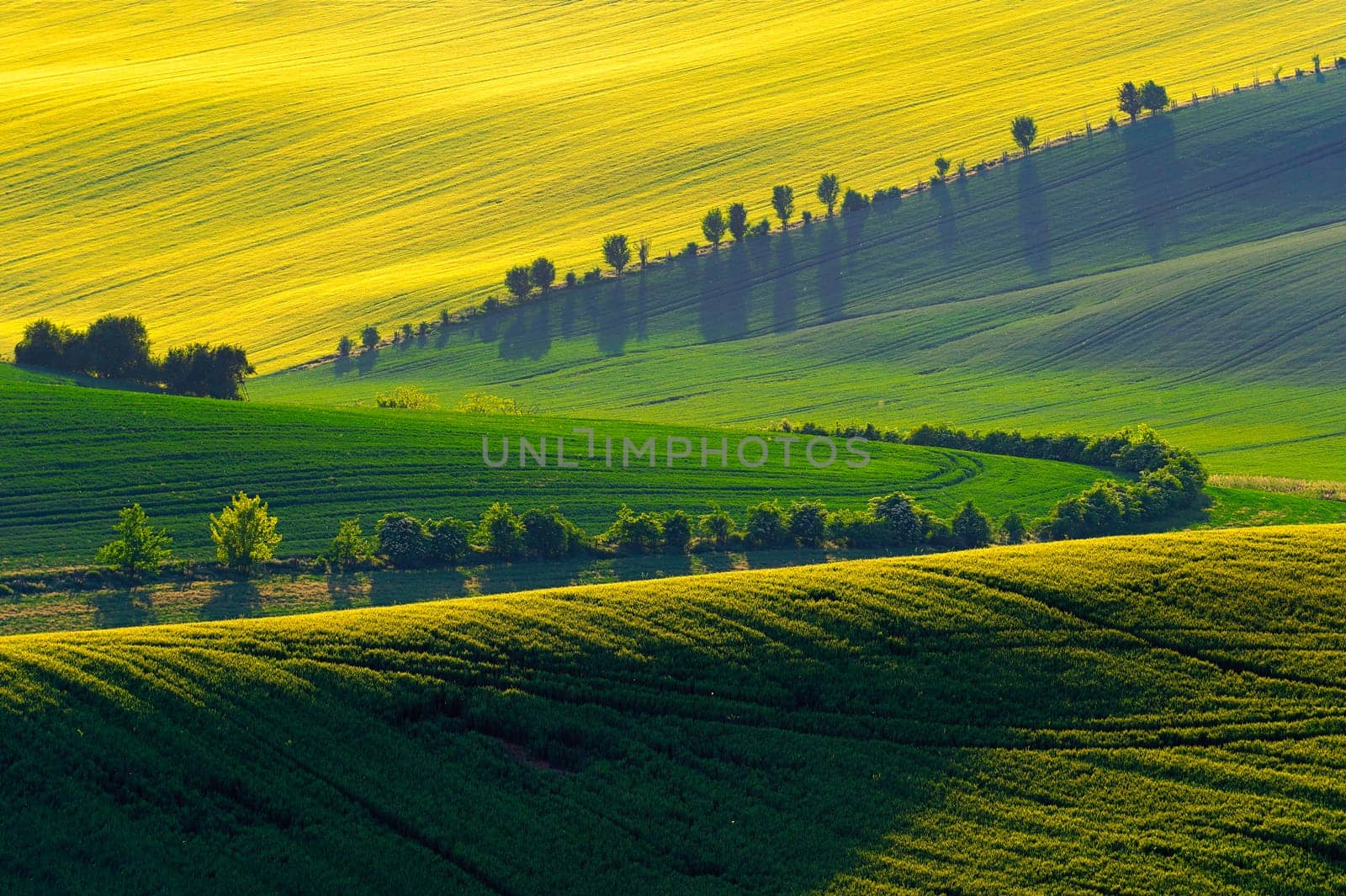 Beautiful spring landscape with field, hills and sunset. Czech Republic - South Moravia (Moravian Tuscany.) Concept for agriculture, travel, environment and nature..