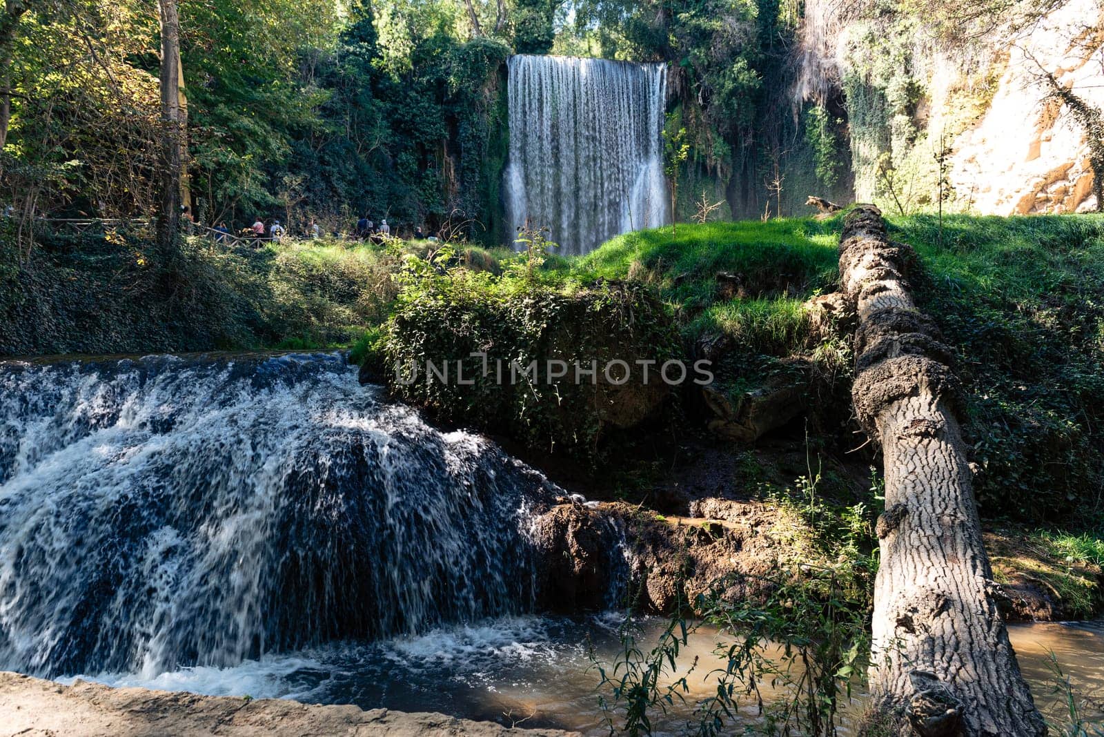 Discover the serene beauty of Monasterio de Piedra with two cascading waterfalls, a fallen tree resting along the riverbank, and lush vegetation surrounding the picturesque scene.
