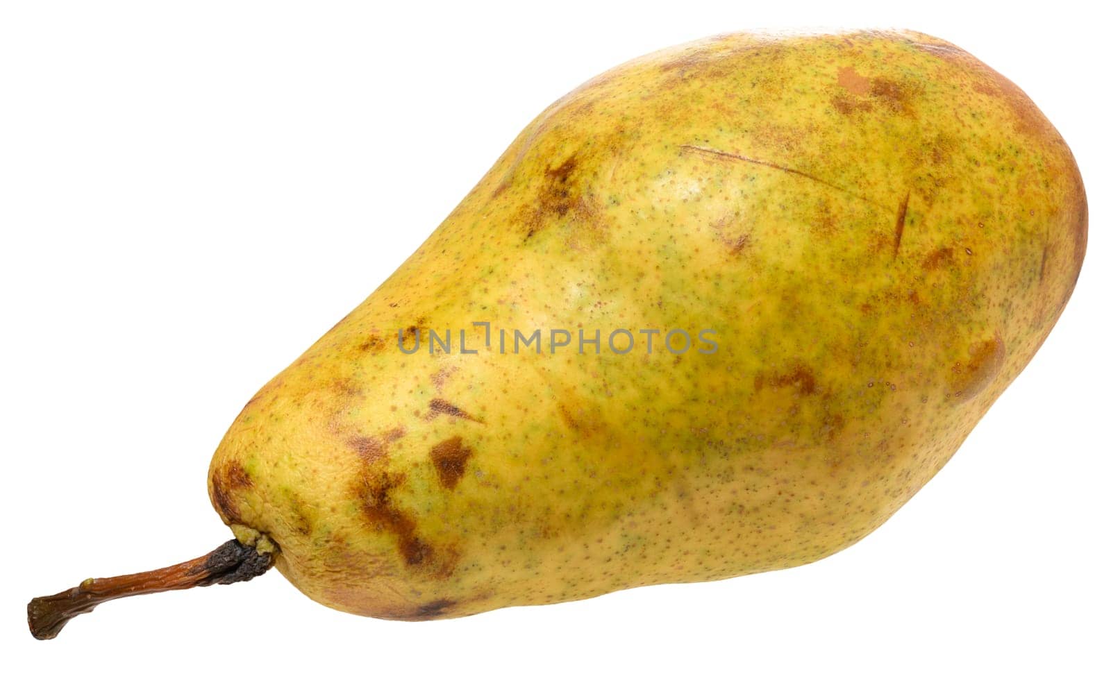 Ripe yellow pear with a characteristic shape and brown spots on the skin. Close-up of the fruit on an isolated background, Conference pear variety