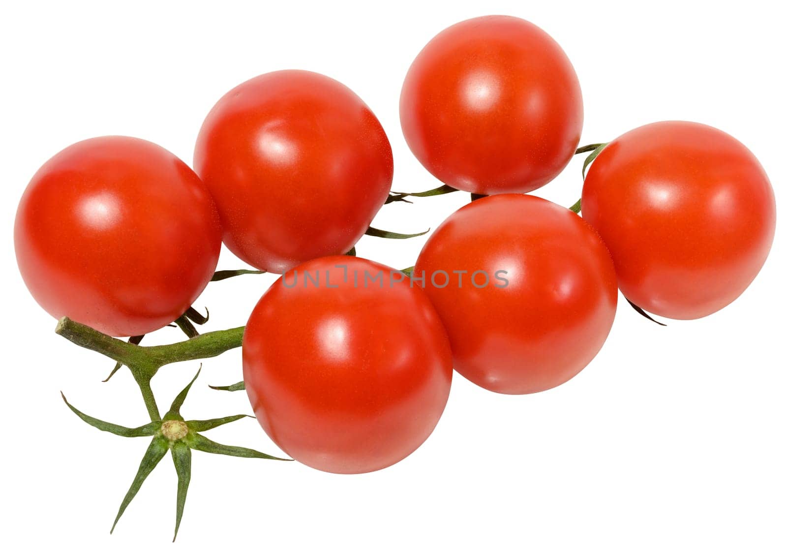 Fresh cherry tomatoes on the vine, isolated background. Juicy red tomatoes with green stems, perfect for salads