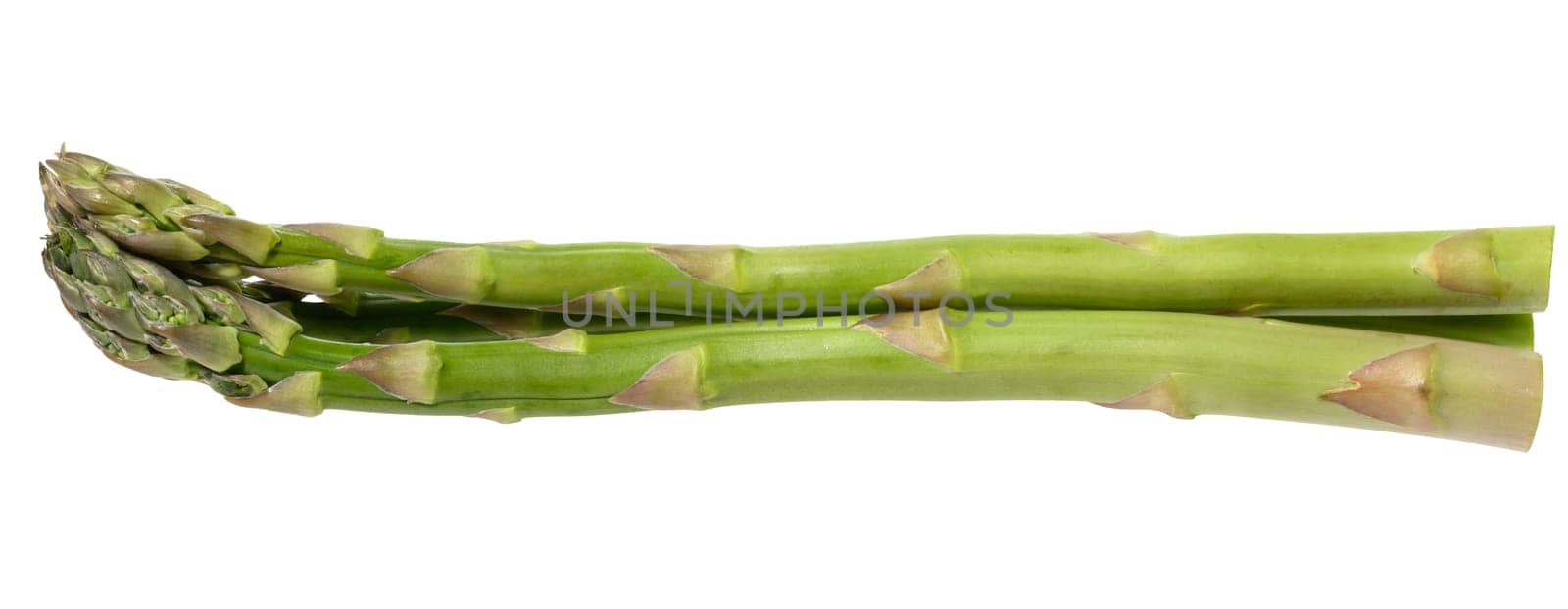 Fresh green asparagus, isolated on white background. Healthy and delicious vegetable, close-up