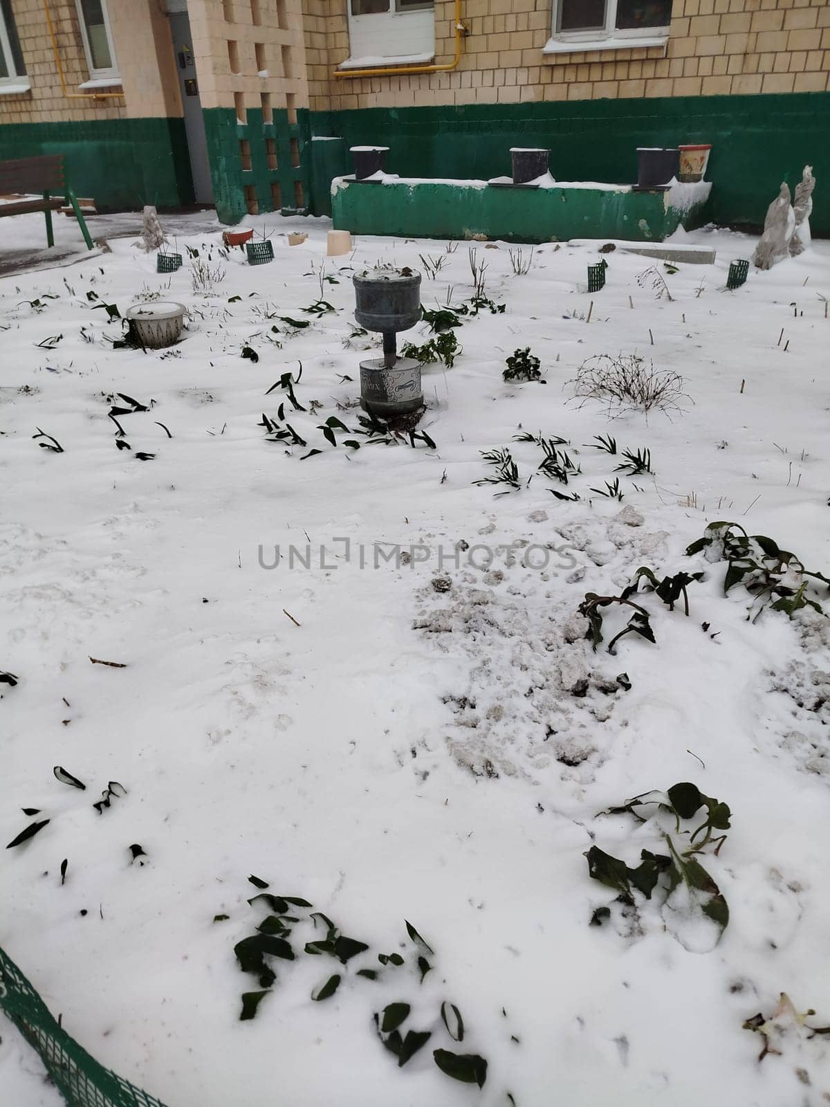 A dusting of snow covers a garden with small plants and a metal feature. The ground is white and covered with plants. The backdrop is a short building with green accents.