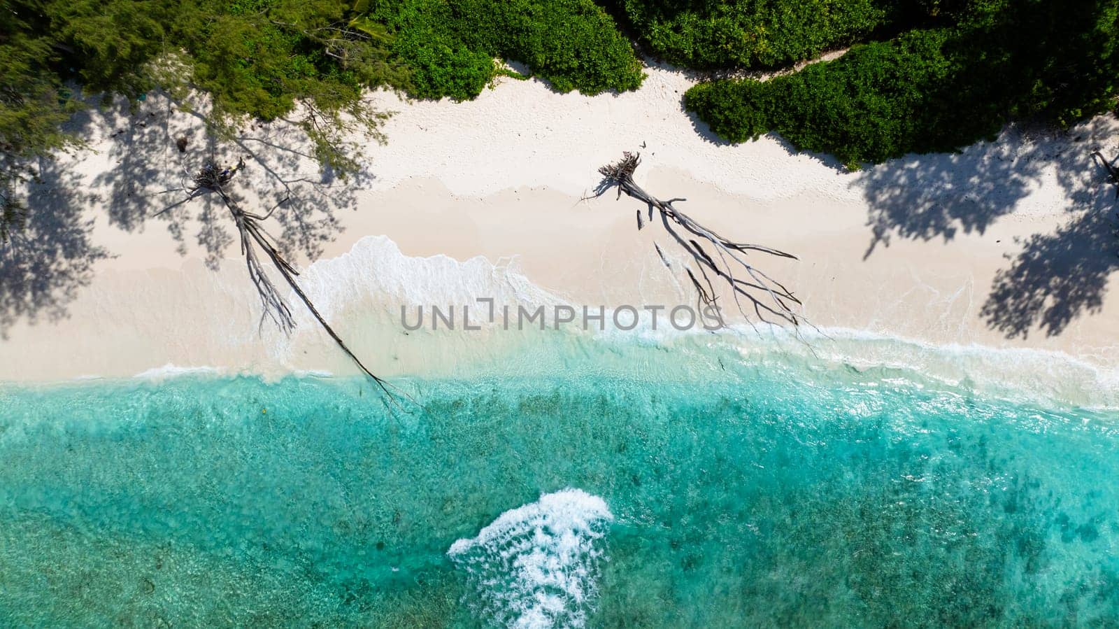 White sand beach bordered by verdant tropical forest with fallen trees on sand. Anse Cocos beach. La Digue, Seychelles.