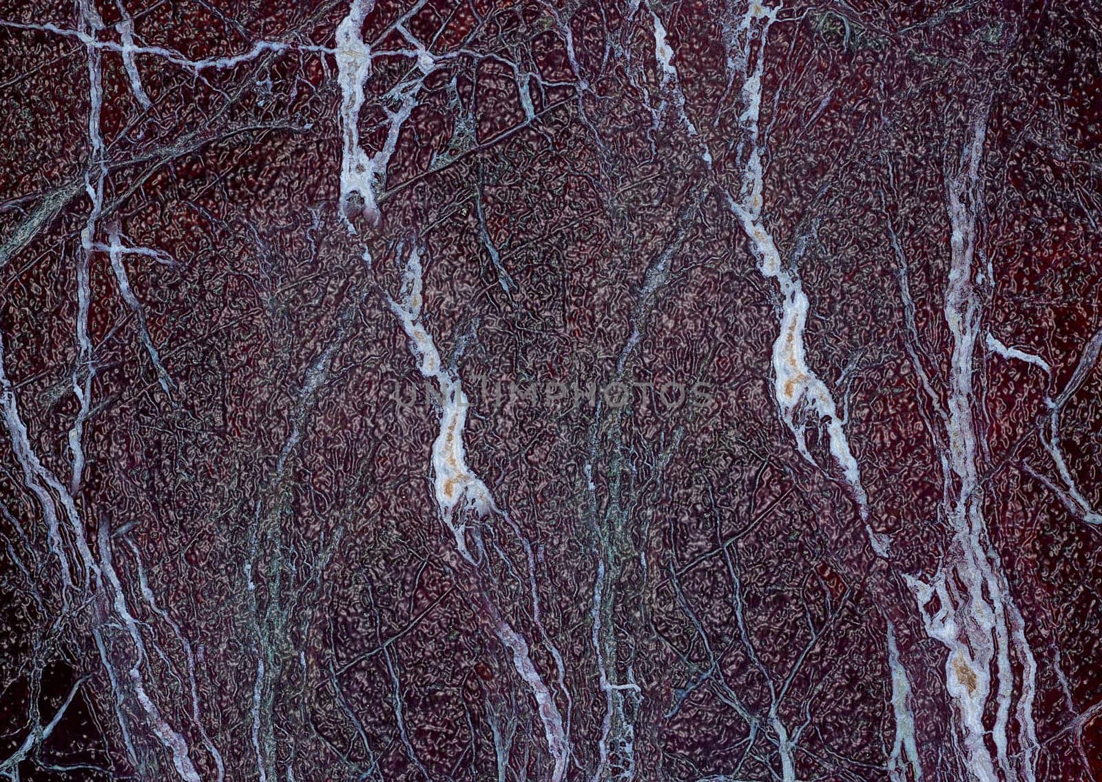 Polished marble stone surface featuring a striking network of white and beige veins against a dark red backdrop, creating a unique natural pattern
