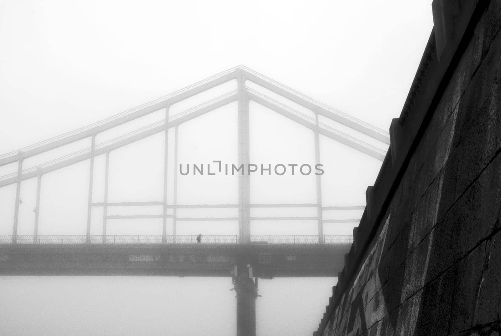 The thick fog lends an air of mystery to the scene, softening the edges of the landscape and blurring the boundaries between reality and imagination.