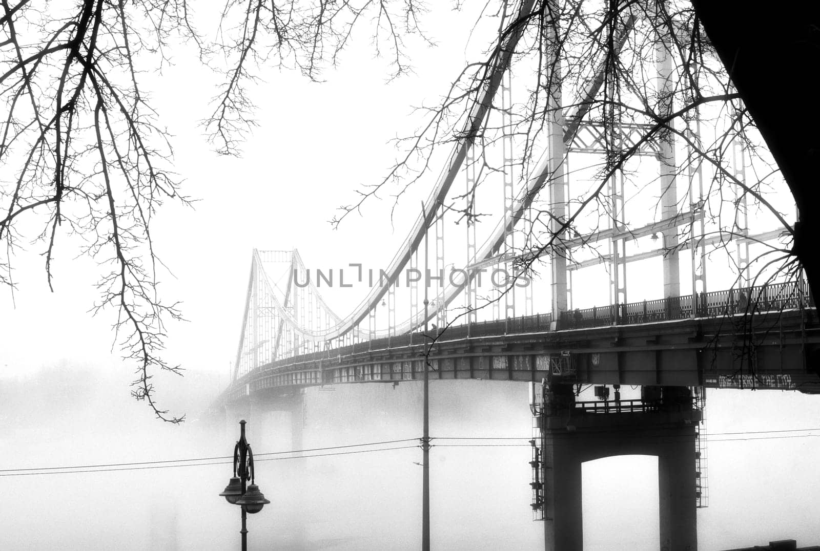 A solitary bridge emerges from the ethereal embrace of mist, casting an enchanting aura over the tranquil waters below.